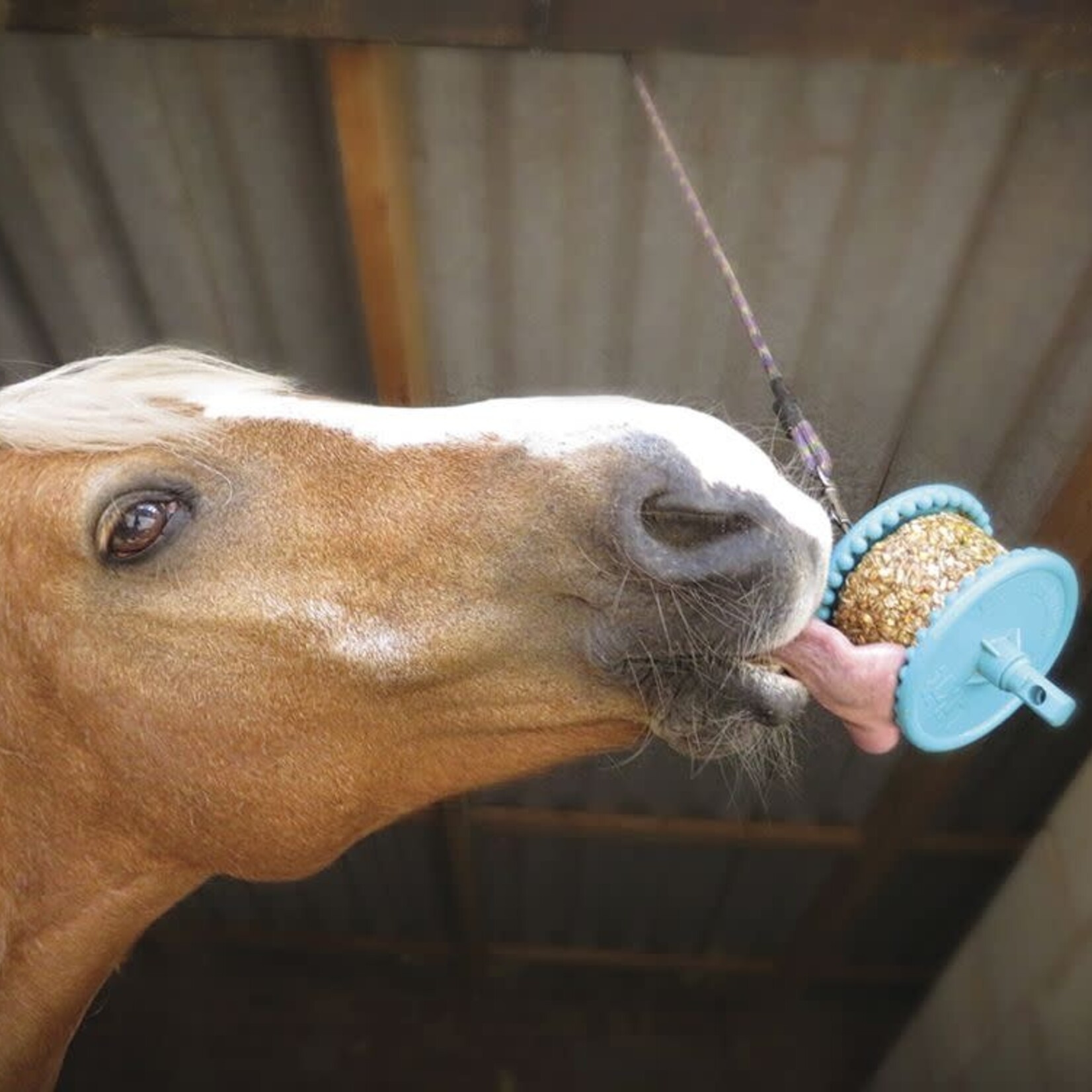 Likit 18852 Likit Granola Refill Equine Treat (LG) - Used with Original Likit Holder & Boredom Buster