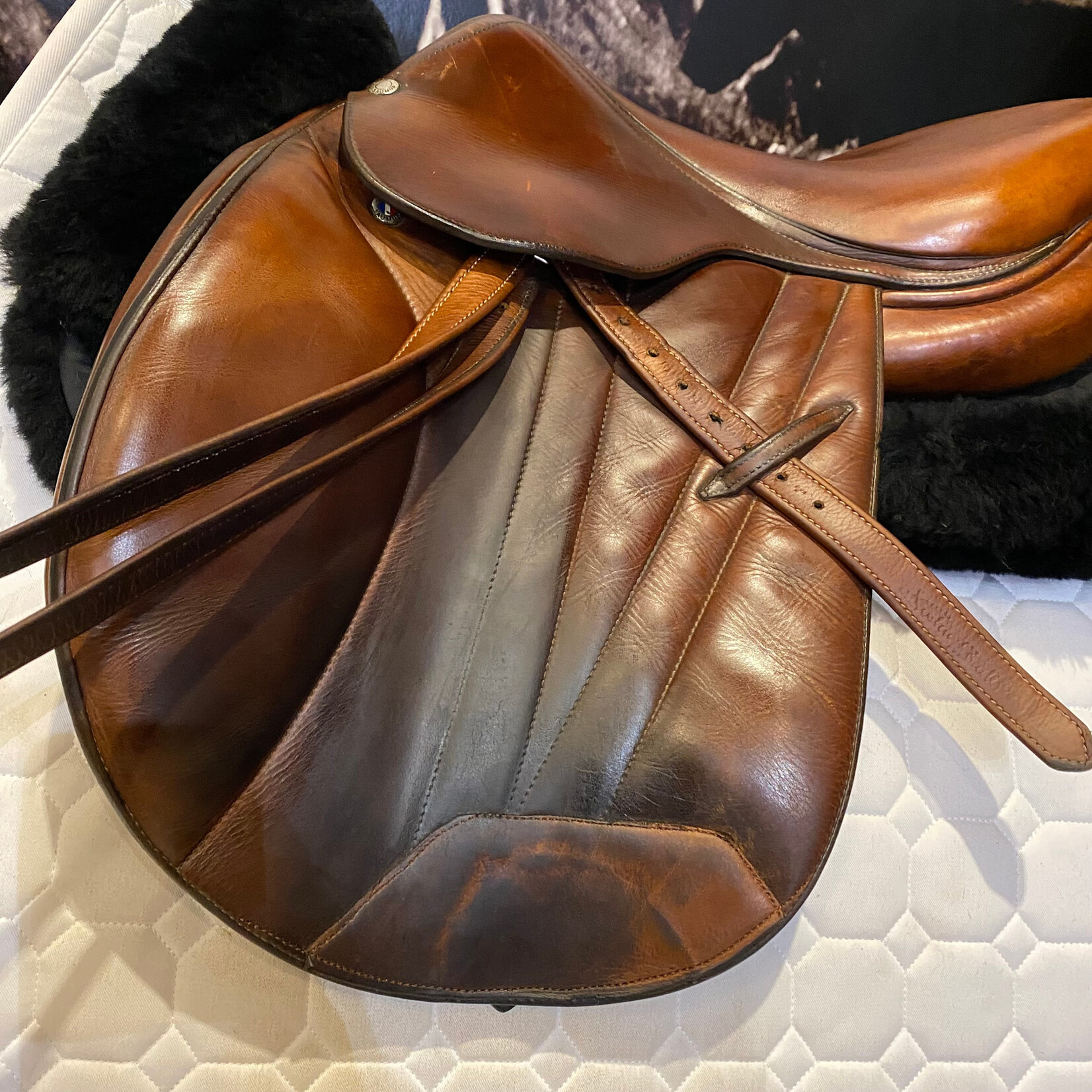 Butet #15 362 Consigned Butet Jumping Saddle,  Integrated Premium, 16" P (Flat Seat), 1 Flap, STD TREE, BDFG Panels, Gold, includes Butet cover