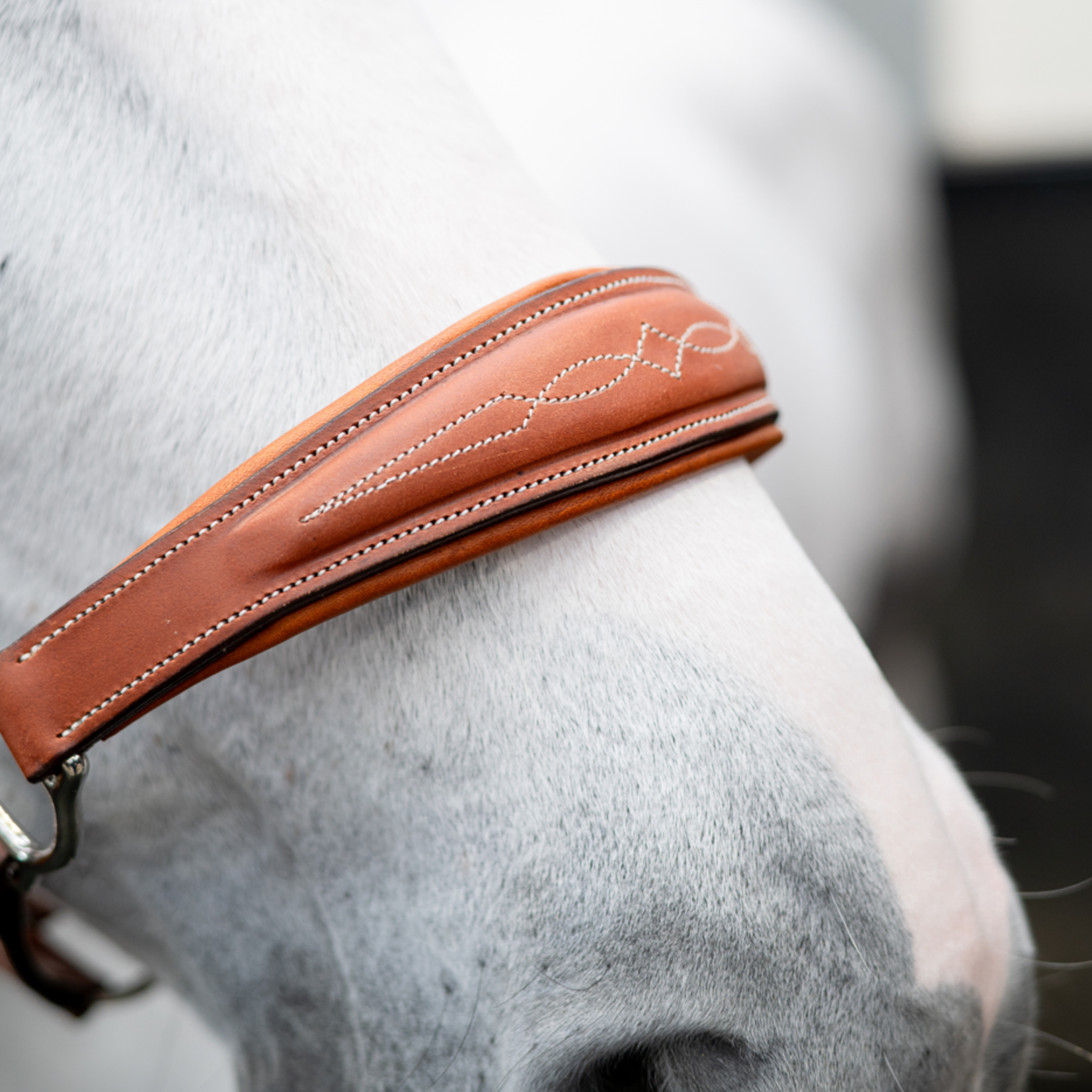 Butet LIC01 Butet Leather Halter