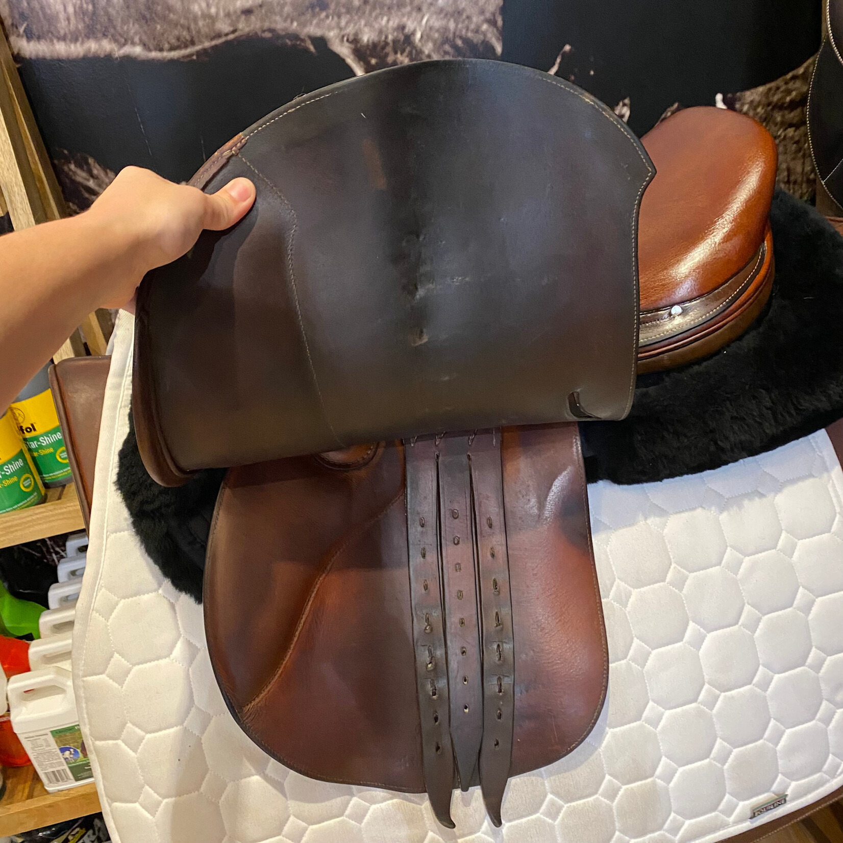 Hermès #40 437 Consigned Hermès Essentielle Saddle, 17" Med tree (measures 4.25" dot to dot), comes with cover