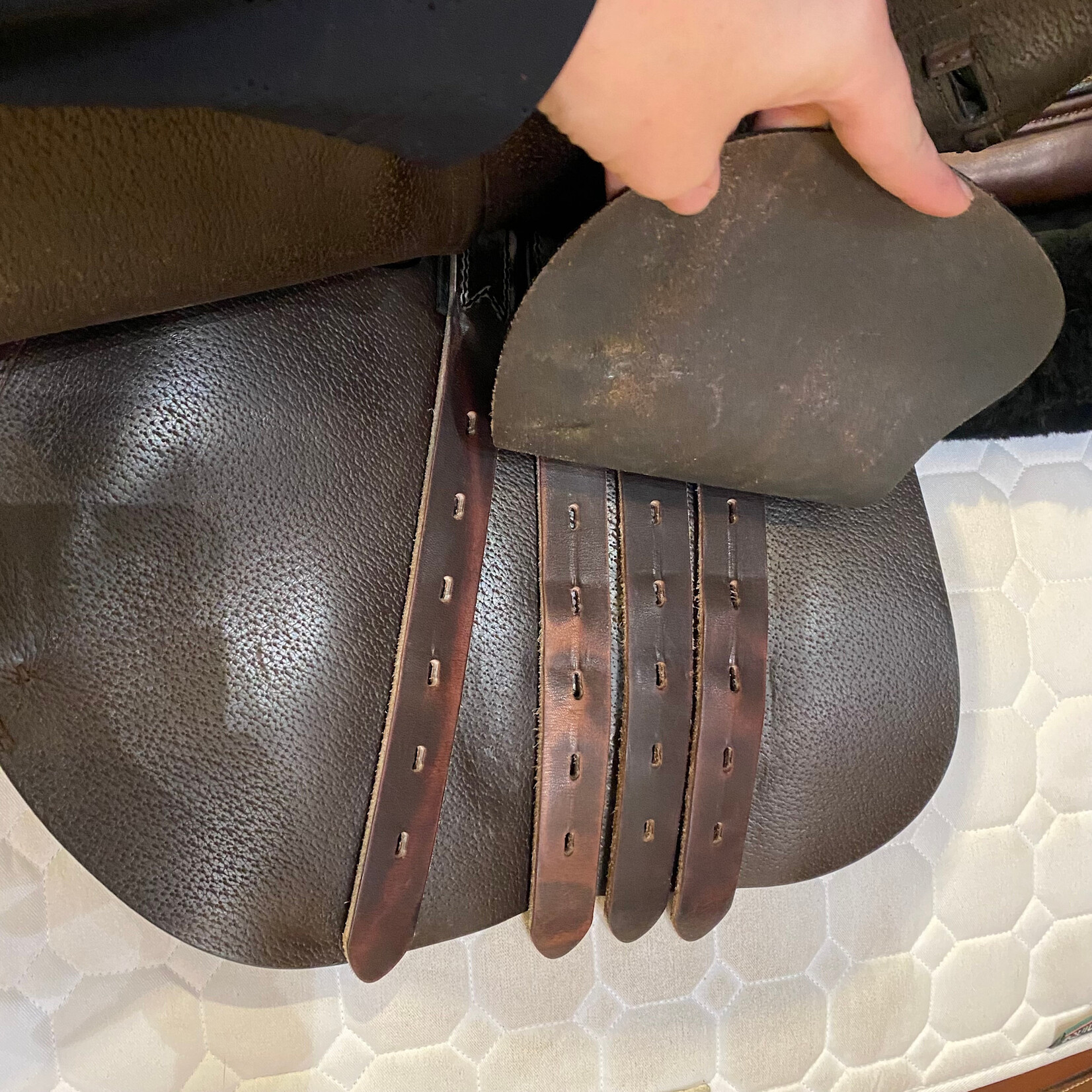 Amerigo #18L071970922 Consigned Amerigo DJ Largo Jump Saddle, 2022, 18" L (Long) Flap Length, +1 Tree (Medium/Wide), Wool Flocked (4), LHI  includes Amerigo Cover cover