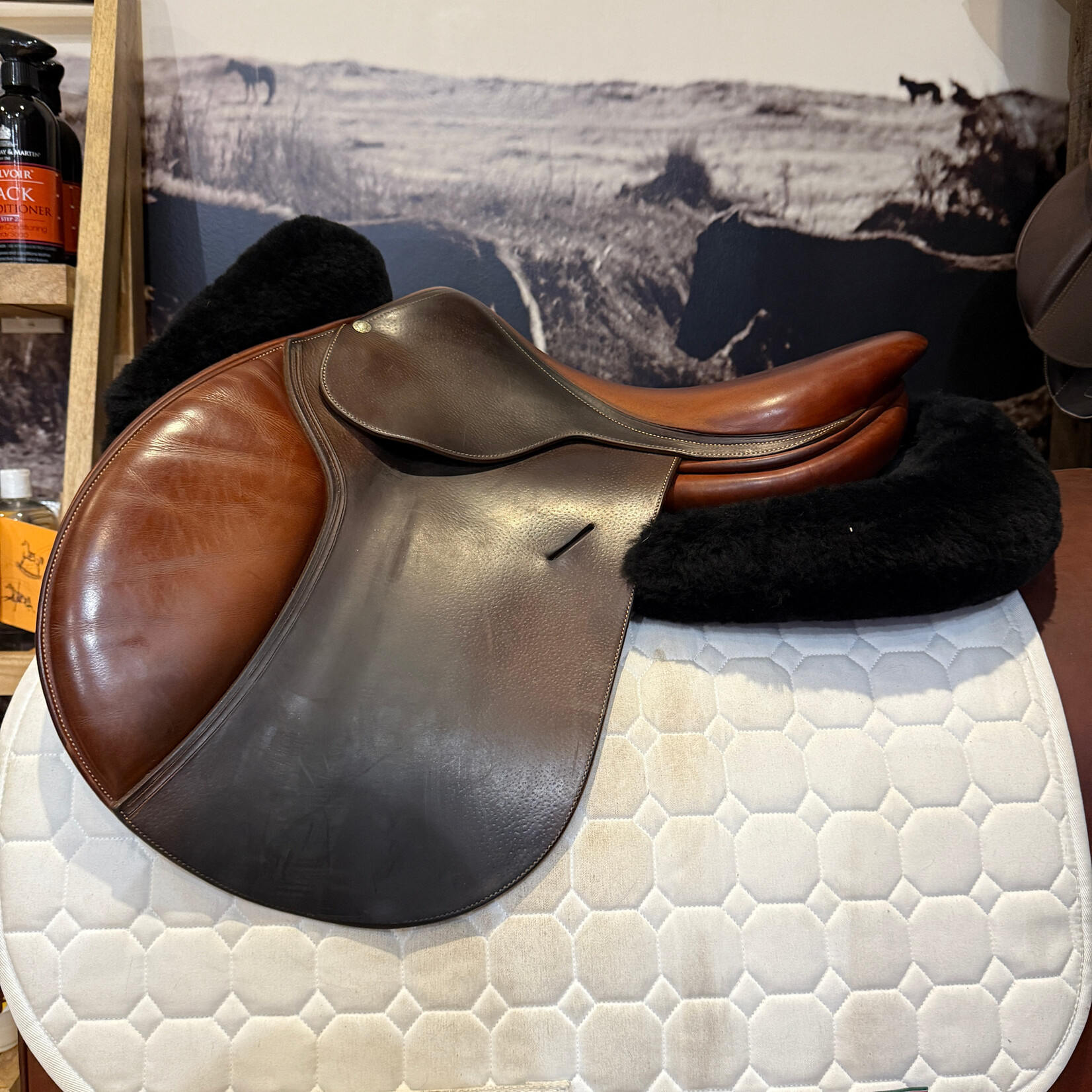 Butet #391 10 Consigned Butet Jumping Saddle Grained, 17” P (Flat) seat, 2 flap, STD Tree, Standard Panels, Gold
