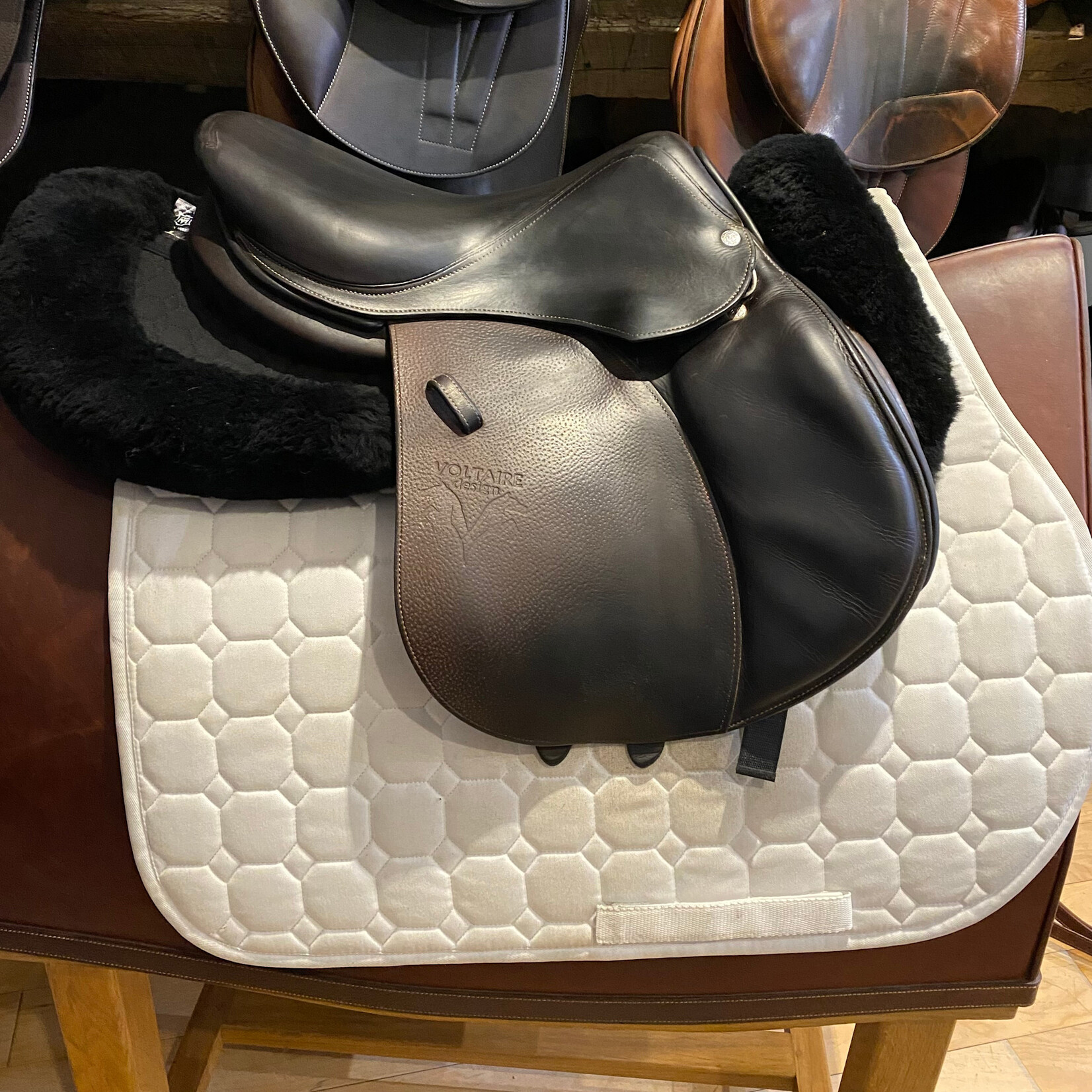 Voltaire #1121 17 Consigned Voltaire Jumping Palm Beach, 16”, 1A flap, Pro Panels, Medium Tree, includes Voltaire cover