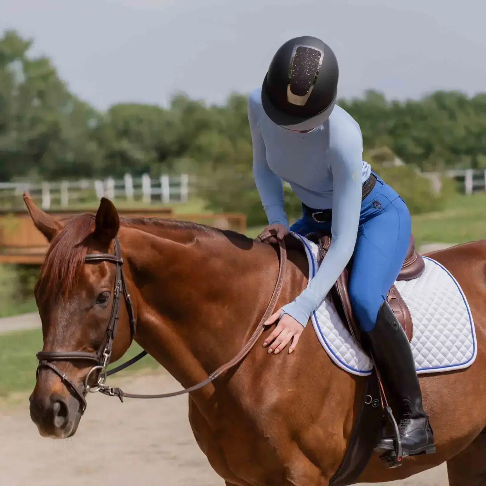 Equinavia E30002 Equinavia Crown Shimmer Top MIPS Riding Helmet