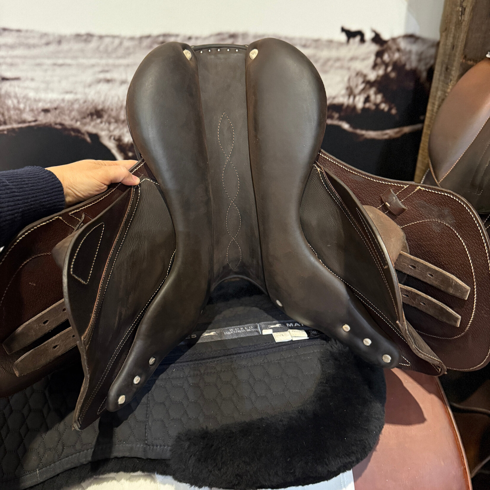 antares #25 2264 Consigned Antares Hero Junior Jumping Saddle 16" XXSJ/2+2, No Cover, BRAND NEW ridden in 2x