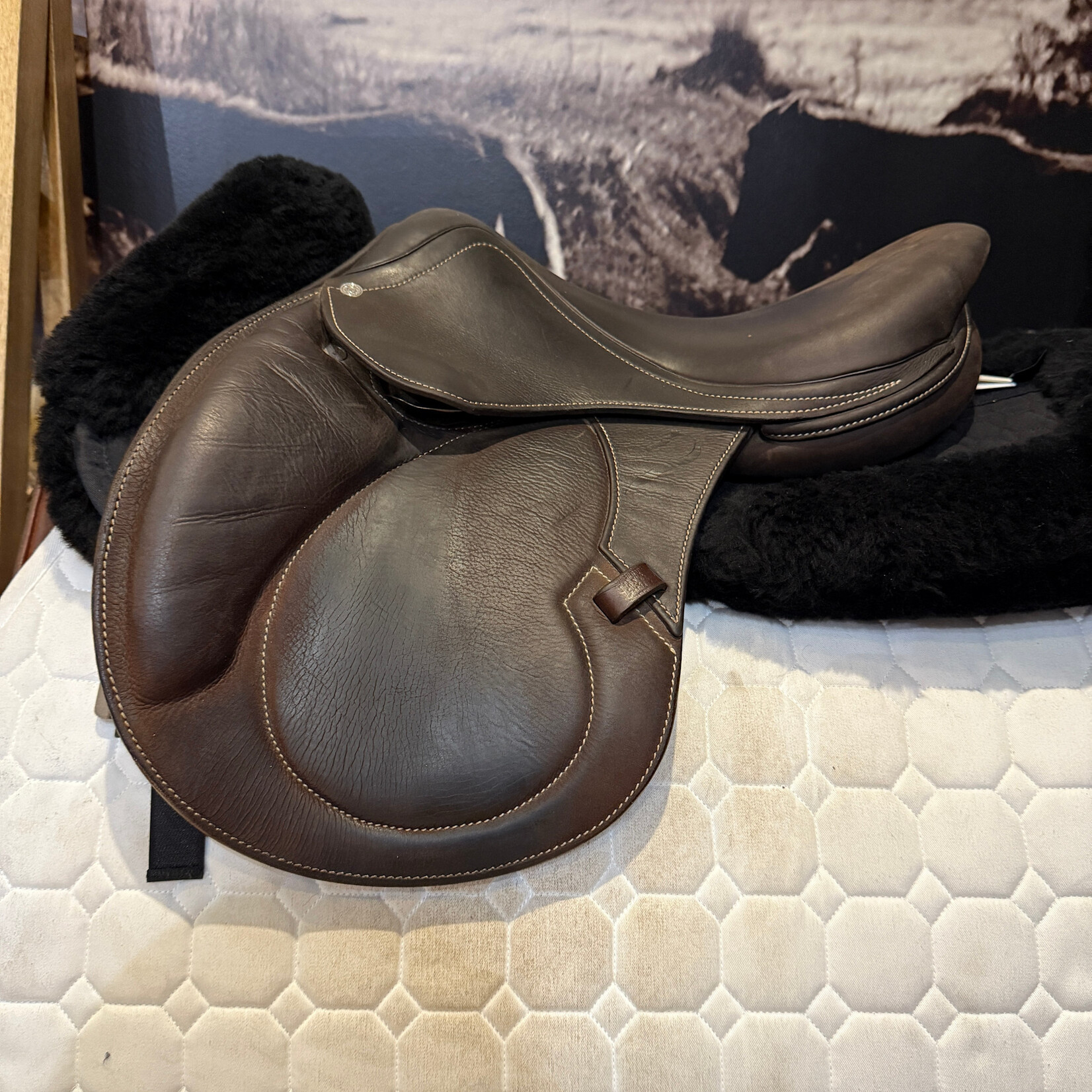 antares #25 2264 Consigned Antares Hero Junior Jumping Saddle 16" XXSJ/2+2, No Cover, BRAND NEW ridden in 2x
