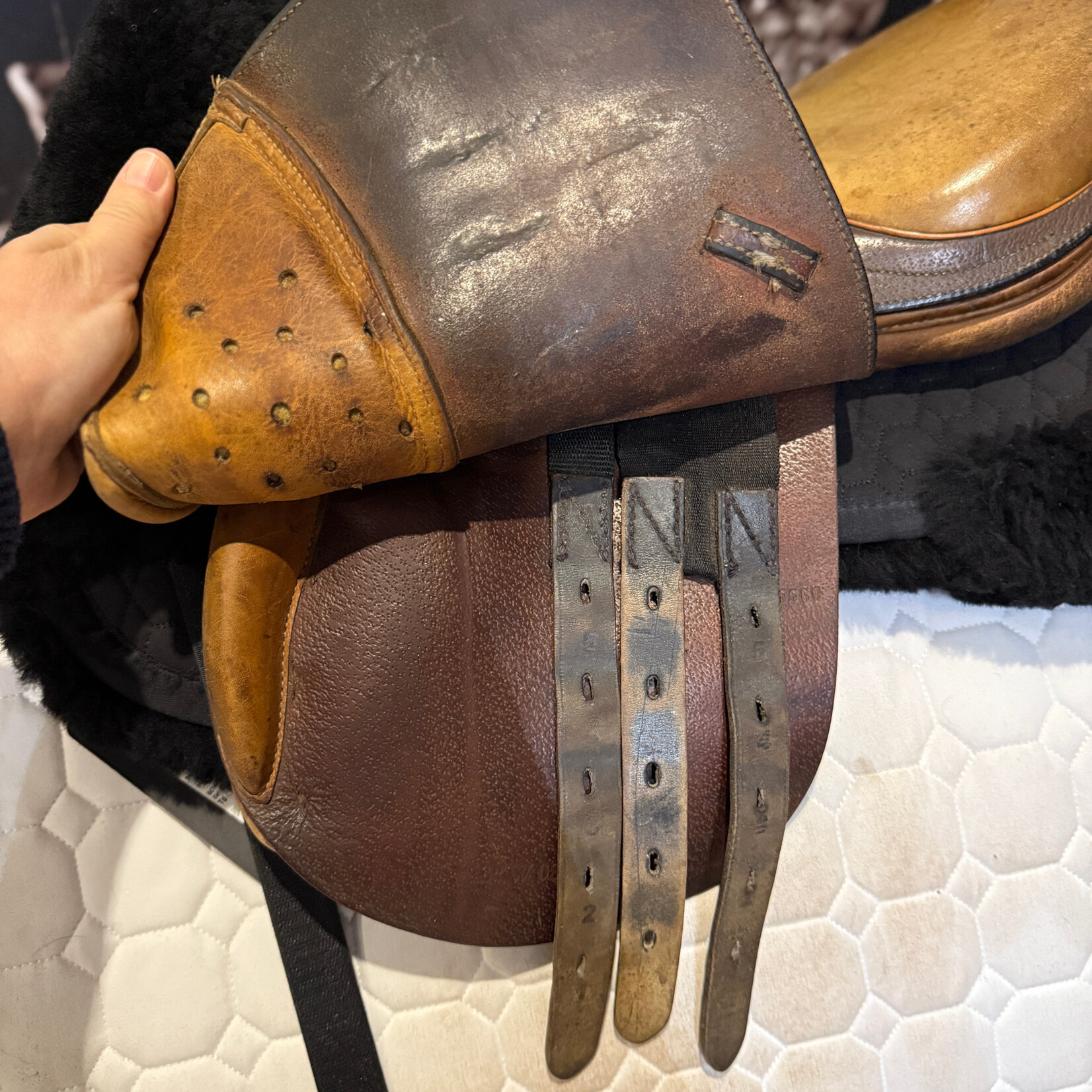 Beval Consigned Bevals Junior Saddle 13”, reflocked in wool at one point, no cover, a great first saddle!