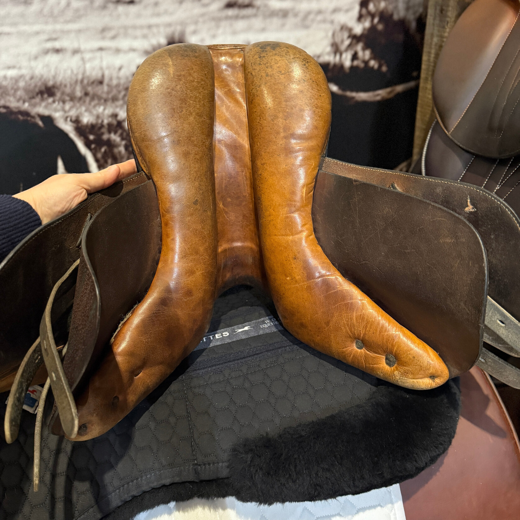 Beval Consigned Bevals Junior Saddle 13”, reflocked in wool at one point, no cover, a great first saddle!