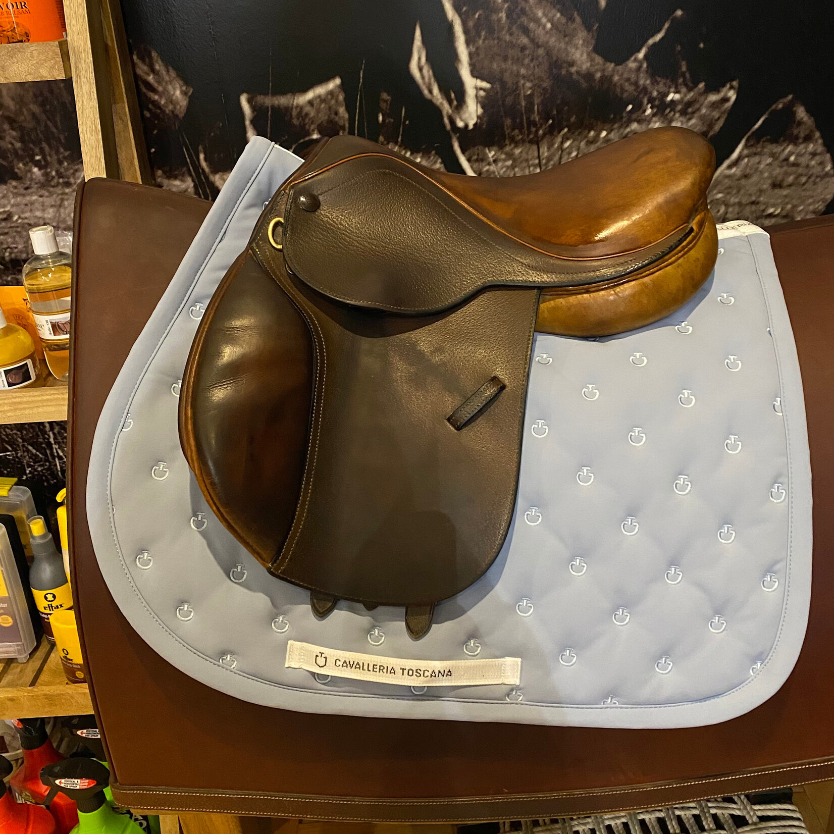 Beval #5792 Consigned Bevals Junior LTD Saddle 14”, measures 9.5" flap length, measures 10.5" flap width