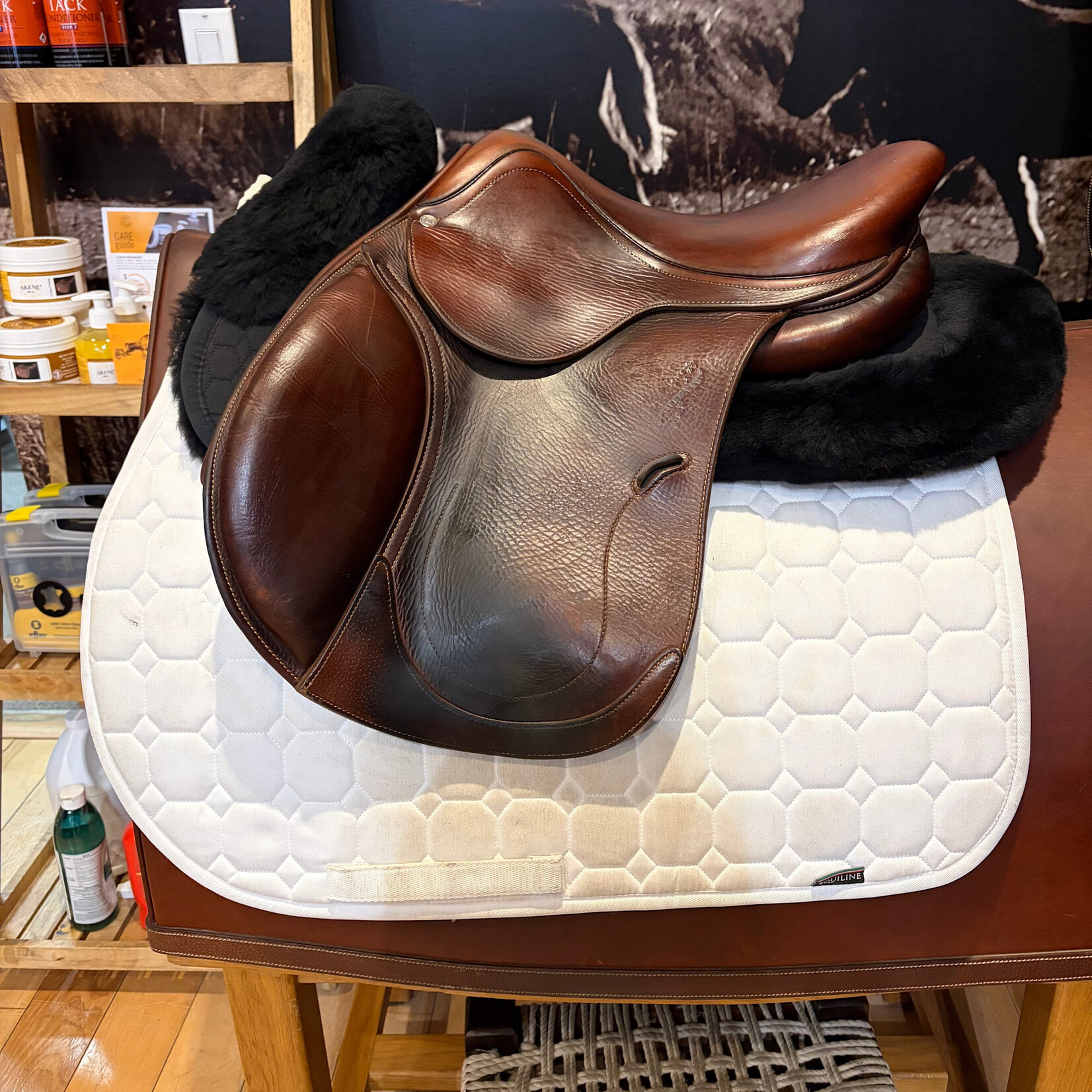 #19 1832 Consigned Antares Connexion Jump Saddle, 16" Seat, 1 NB Flap (Straighter Flap), Medium Wide Tree