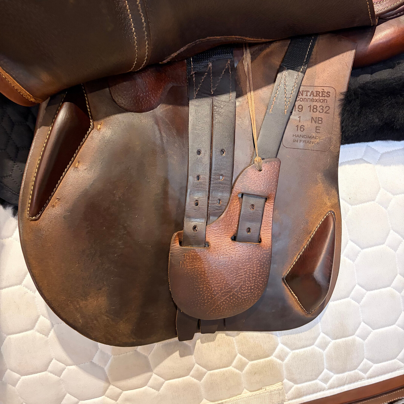 #19 1832 Consigned Antares Connexion Jump Saddle, 16" Seat, 1 NB Flap (Straighter Flap), Medium Wide Tree
