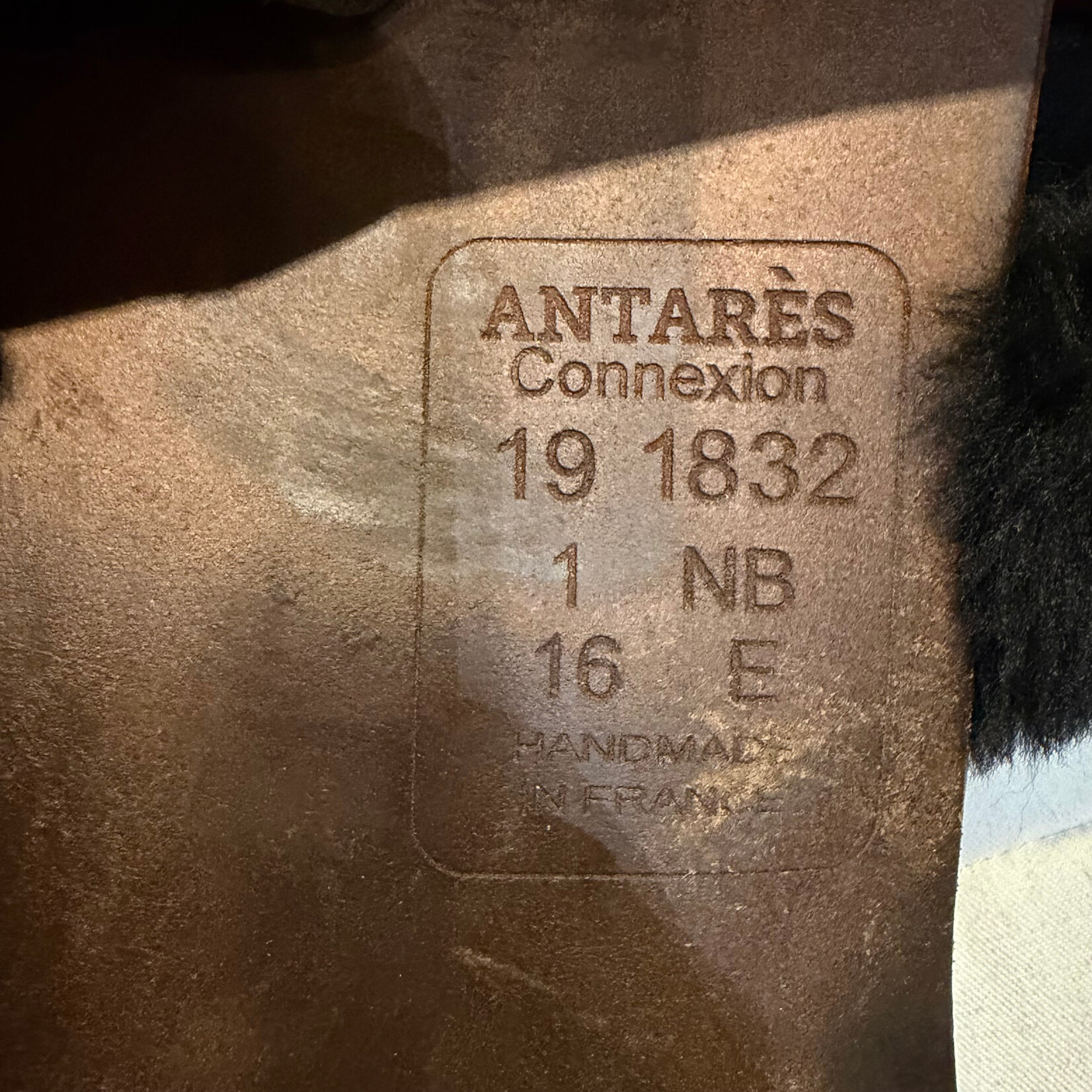 #19 1832 Consigned Antares Connexion Jump Saddle, 16" Seat, 1 NB Flap (Straighter Flap), Medium Wide Tree