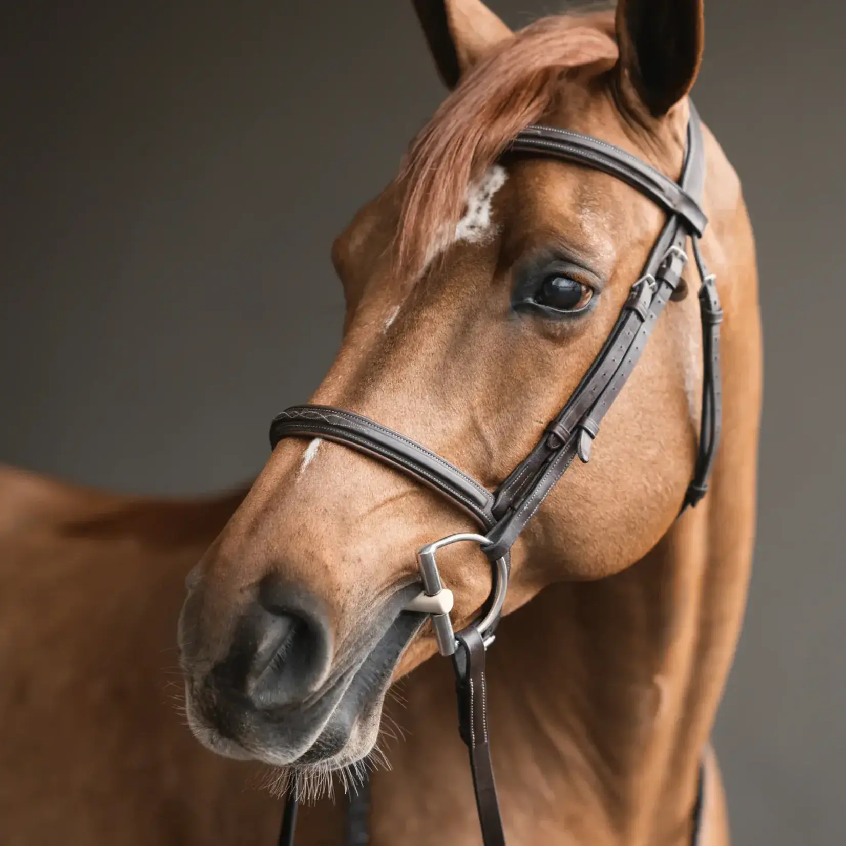 40419 Herm Sprenger Duo D-Ring Bit