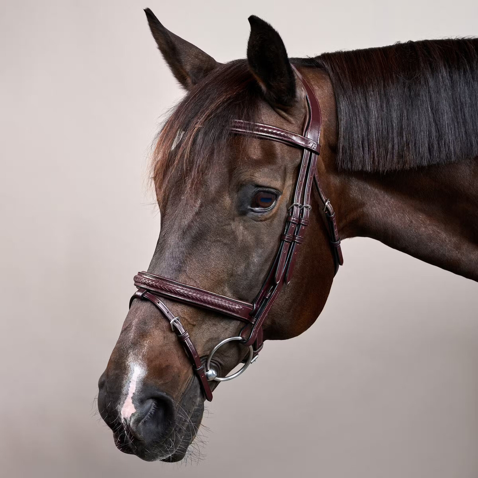 Dy'on NEAOAK Dy'on Plaited Flash Noseband Bridle  w/ Silver Hardware