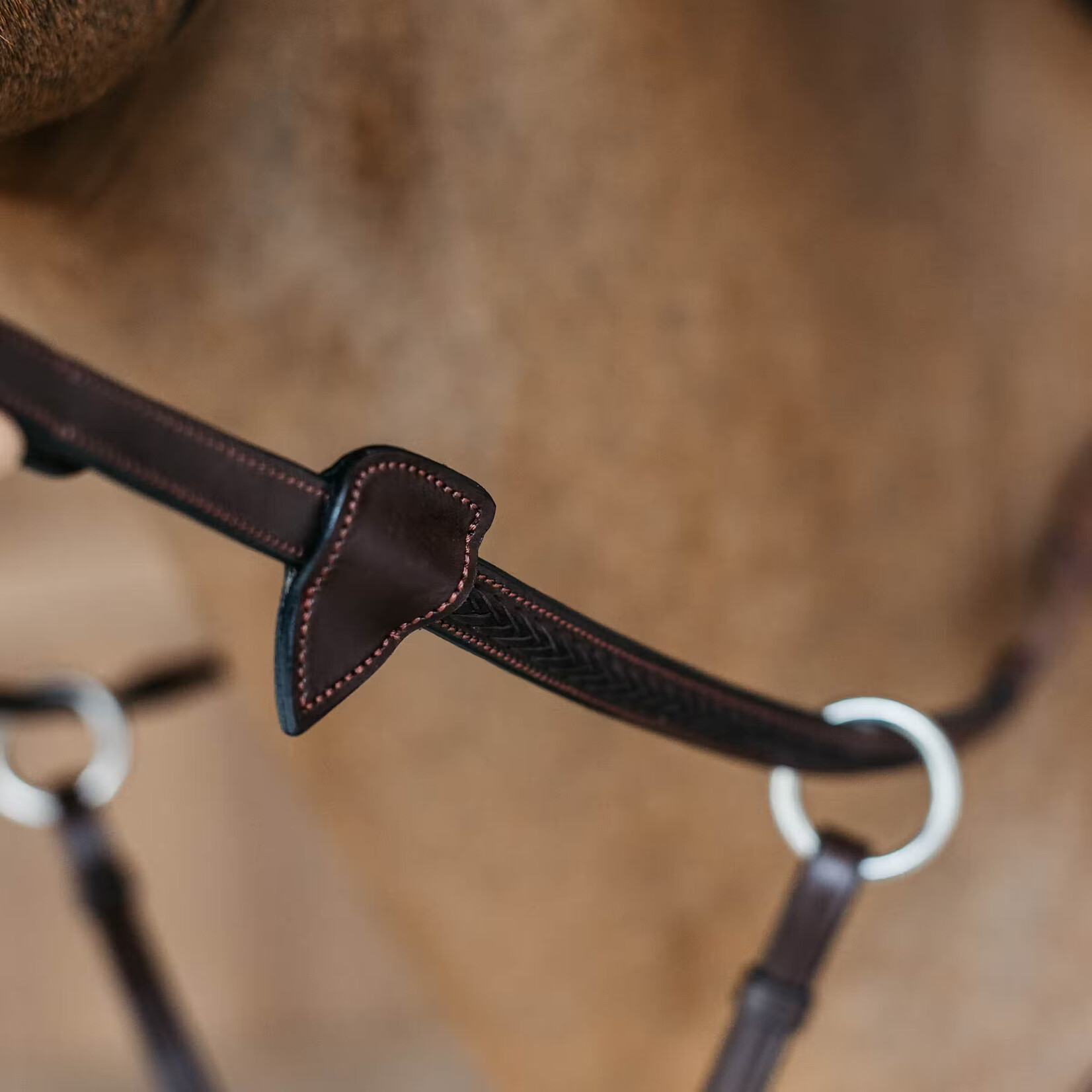 Dy'on NE05W Dy’on 1/2" Rubber Reins with 7 leather loops and plaited finish w/ Nickel Hardware