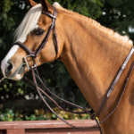 Equiline M500 Equiline Pony Standing Martingale