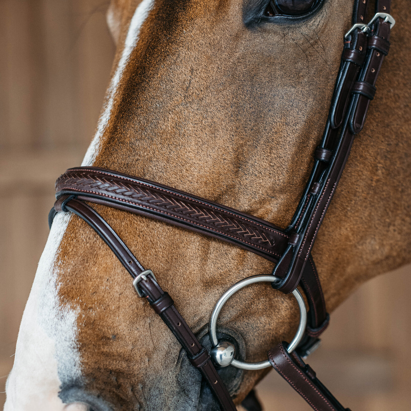 Dy'on NEAOAK Dy'on Plaited Flash Noseband Bridle  w/ Silver Hardware
