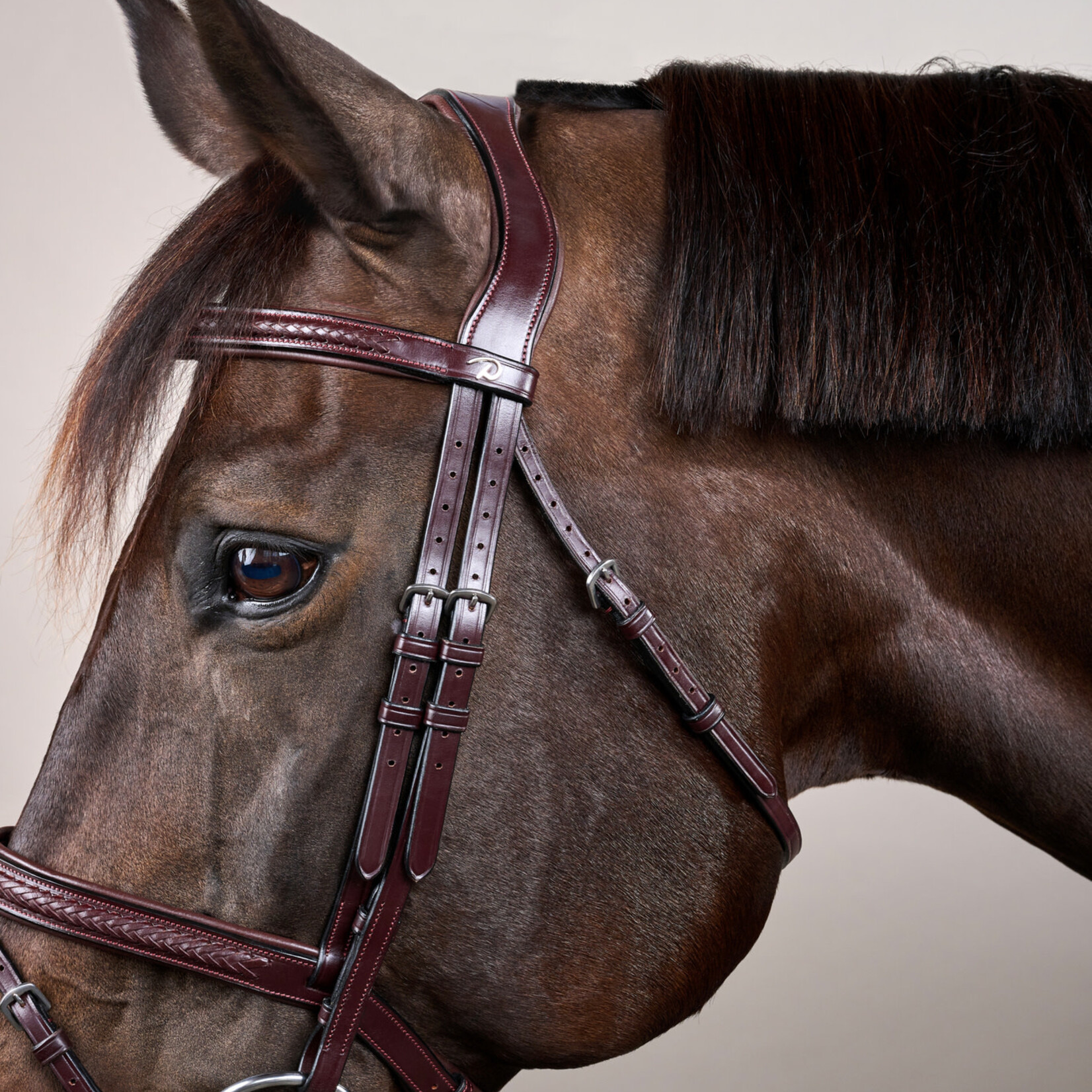 Dy'on NEAOAK Dy'on Plaited Flash Noseband Bridle  w/ Silver Hardware
