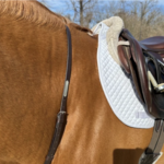 Bridle & Martingale Plates