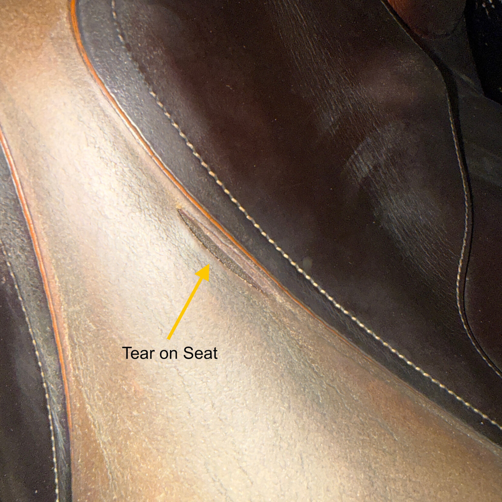 Butet #210 02 Consigned Butet, Grained, 18" P (Flat Seat), 2 Flap, Standard Non-Integrated Panels, STD TREE, Gold 2 Front Blocks, no cover