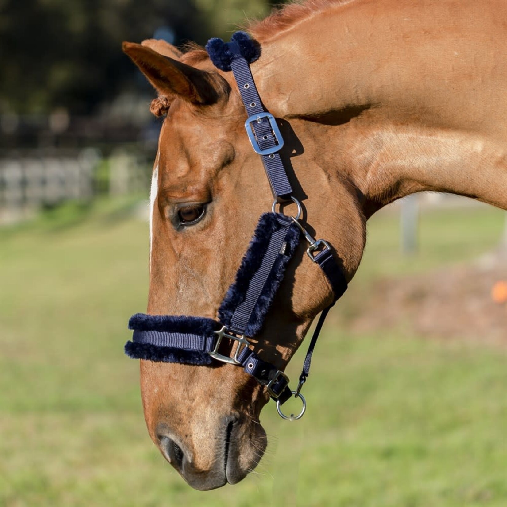 Equinavia Equinavia Valkyrie Ultra Fleece Breakaway Halter