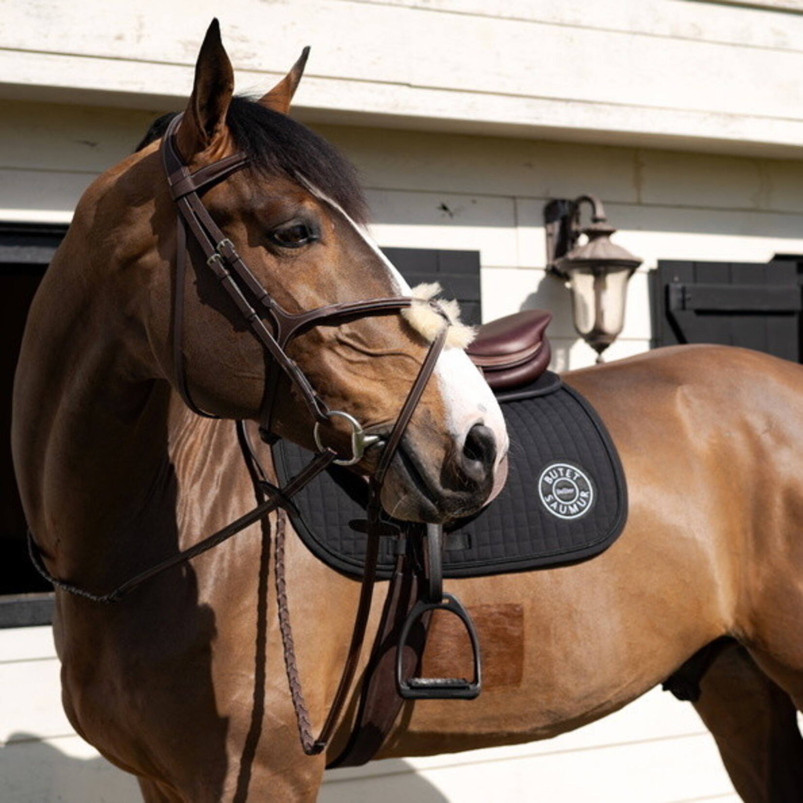 Butet Butet Saddle Pad