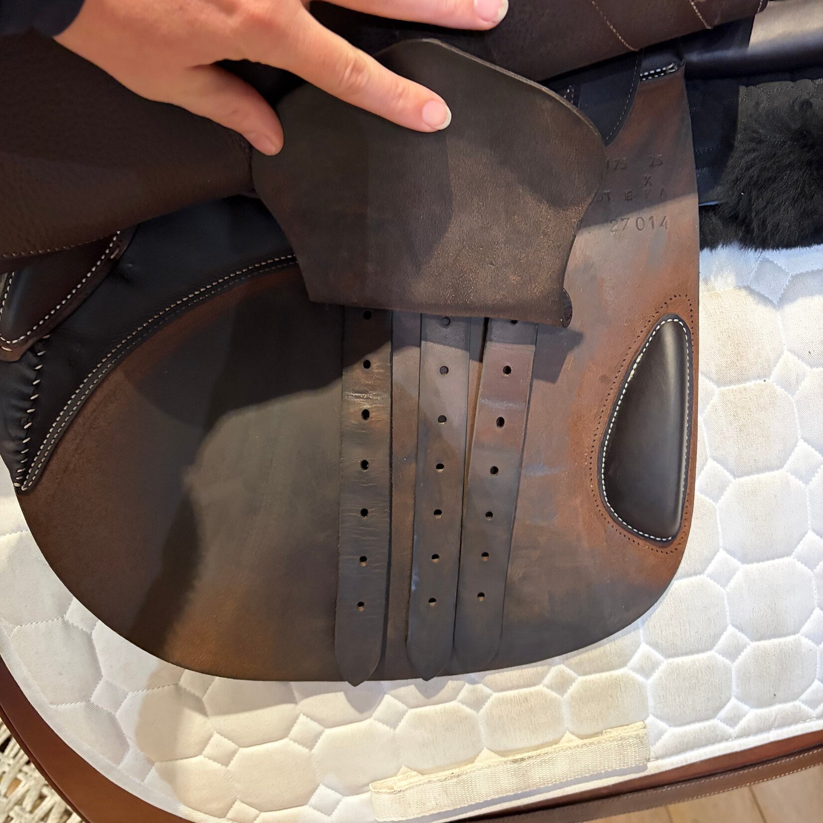 Butet #24 27014 Demo Butet Jumping Saddle Integrated Premium, P (Flat) Seat 3 Flap Cachou 17.5"  EXTRA WIDE TREE, DT E- FVRIG, A Panels