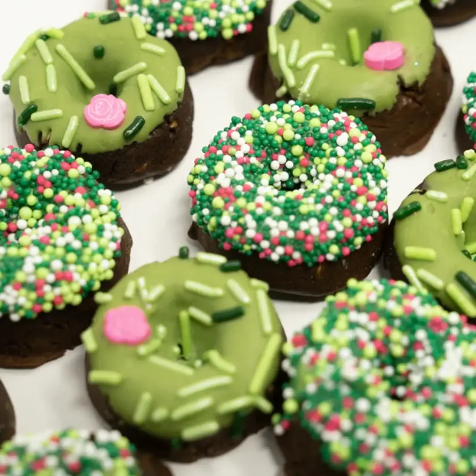 Shop The Posh Pony Shop the Posh Pony Mini Donuts Horse Treats