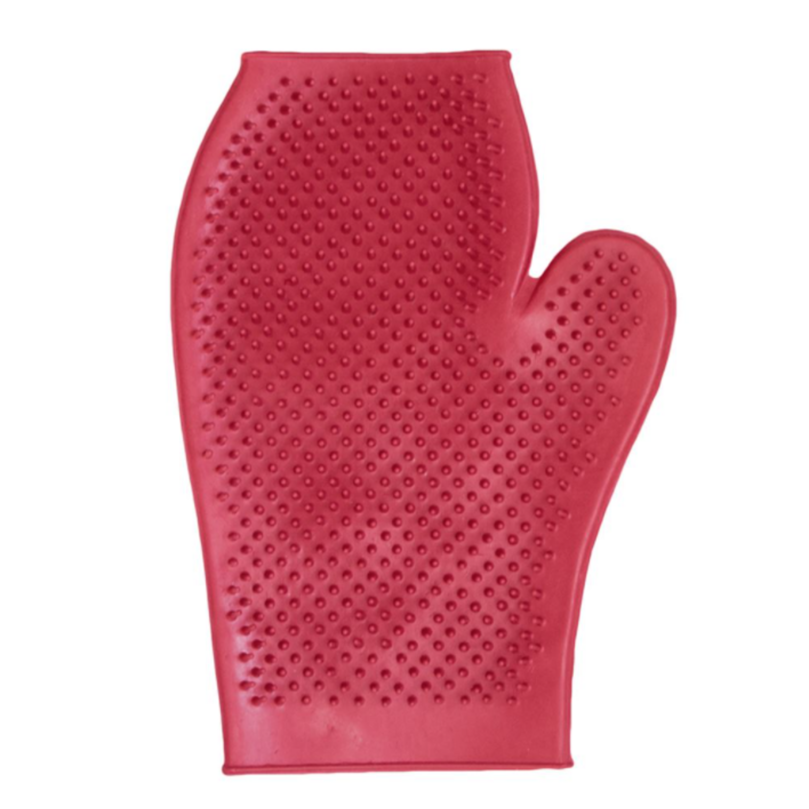 Rubber Grooming Glove