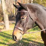 Flat Raised Fancy Hunter Bridle with Laced Reins