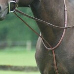 Fancy High Raised Standing Martingale