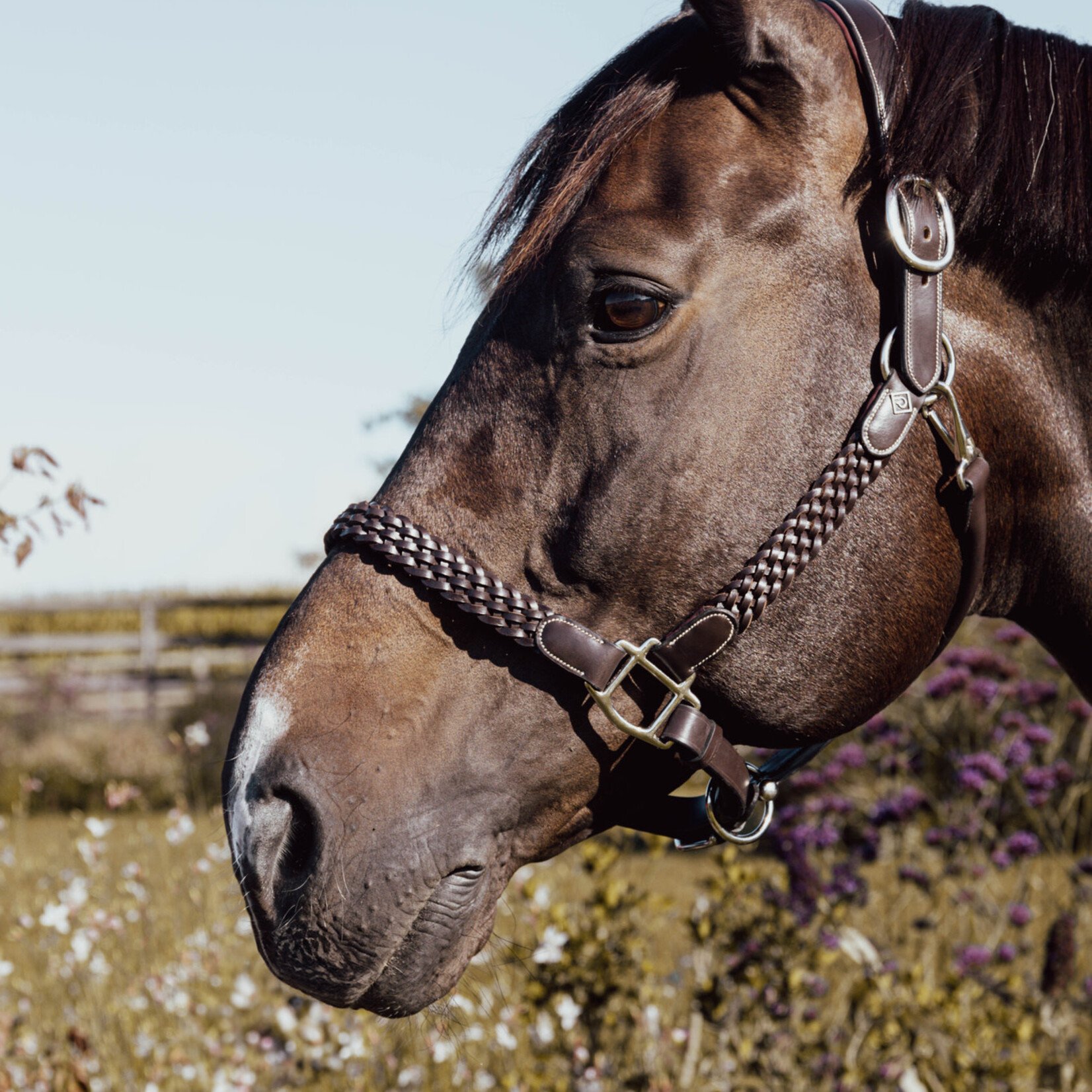 Dy'on WO09D Dy'on Working Collection Plaited Halter