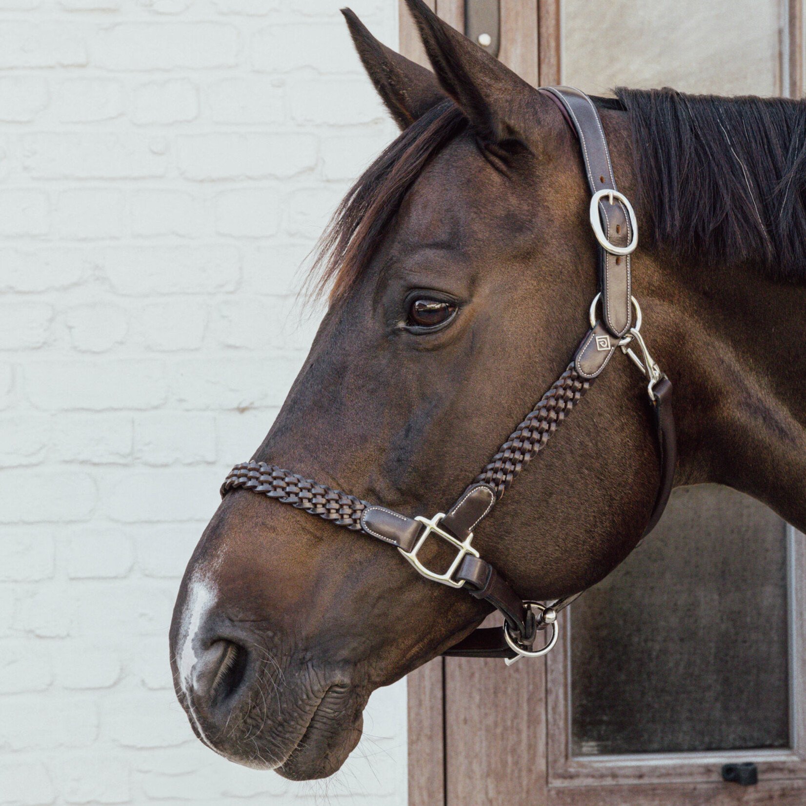 Dy'on WO09D Dy'on Working Collection Plaited Halter