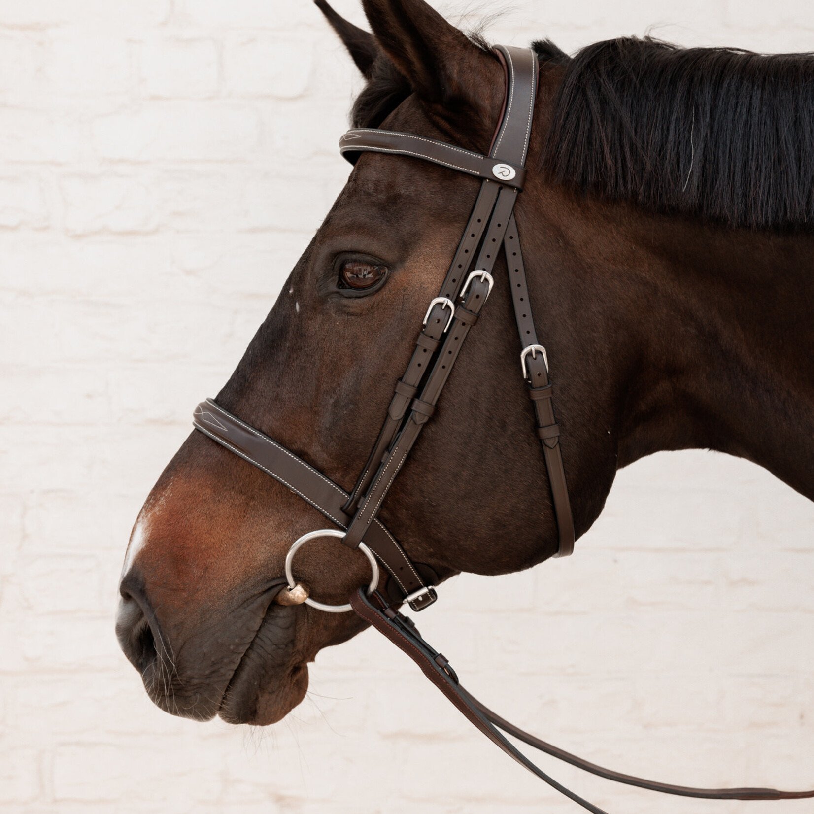 Dy'on WOADAK Dy’on Working Collection Cavesson Hunter Bridle