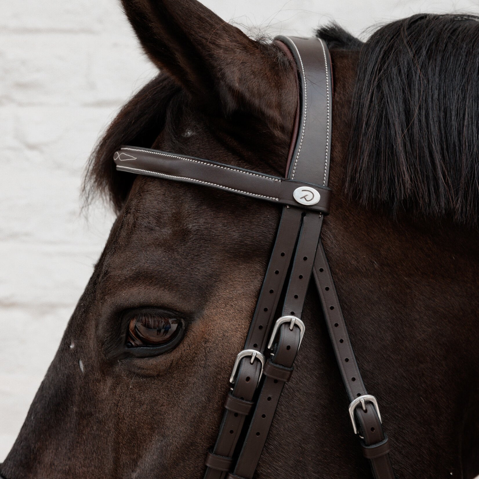 Dy'on WOADAK Dy’on Working Collection Cavesson Hunter Bridle
