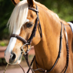 Equiline BJ500 Equiline Pony Bridle with 4/8" Laced Reins