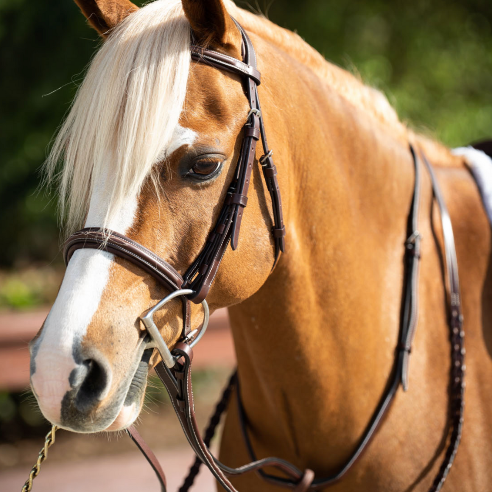 Equiline BJ500 Equiline Pony Bridle with 4/8" Laced Reins