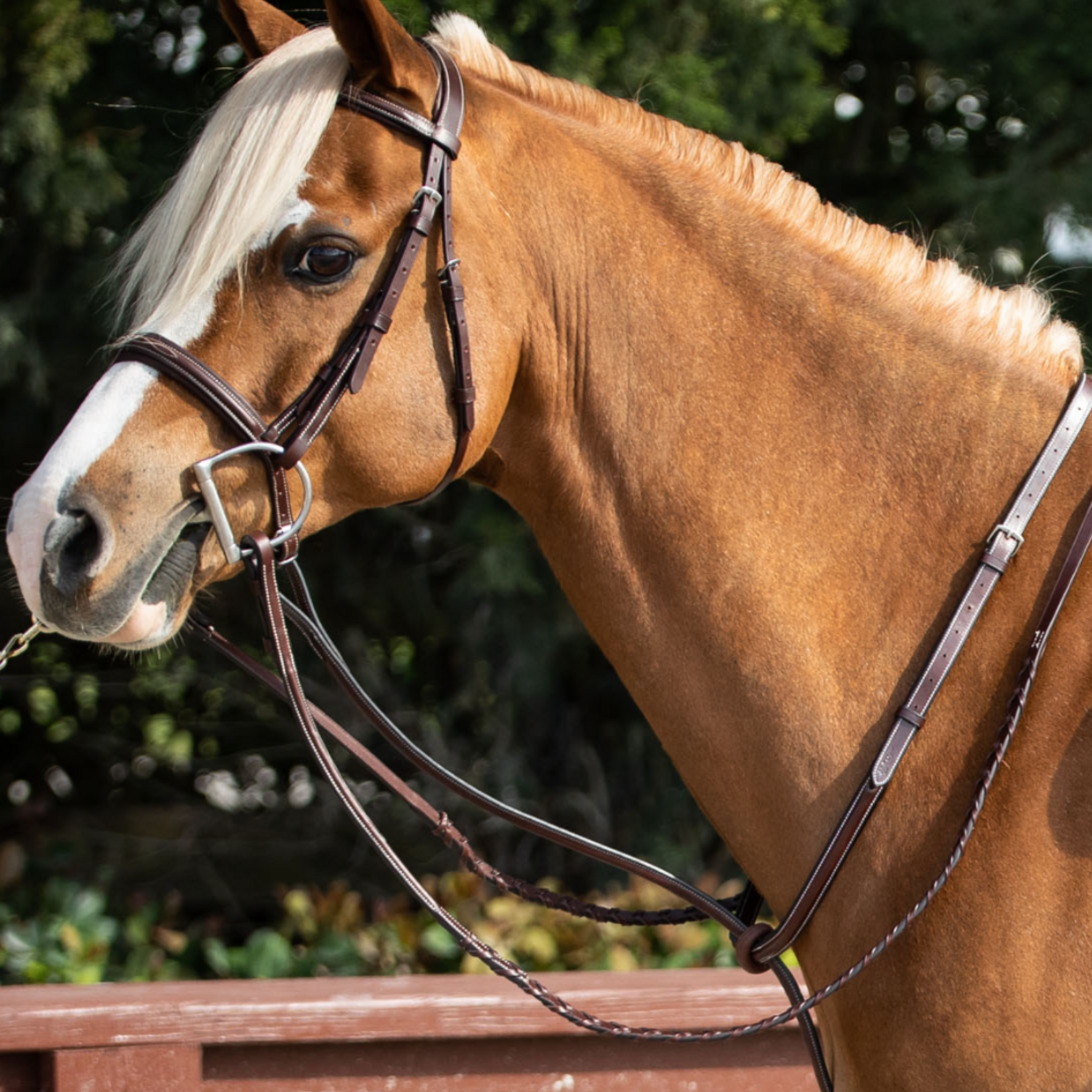 Equiline BJ500 Equiline Pony Bridle with 4/8" Laced Reins