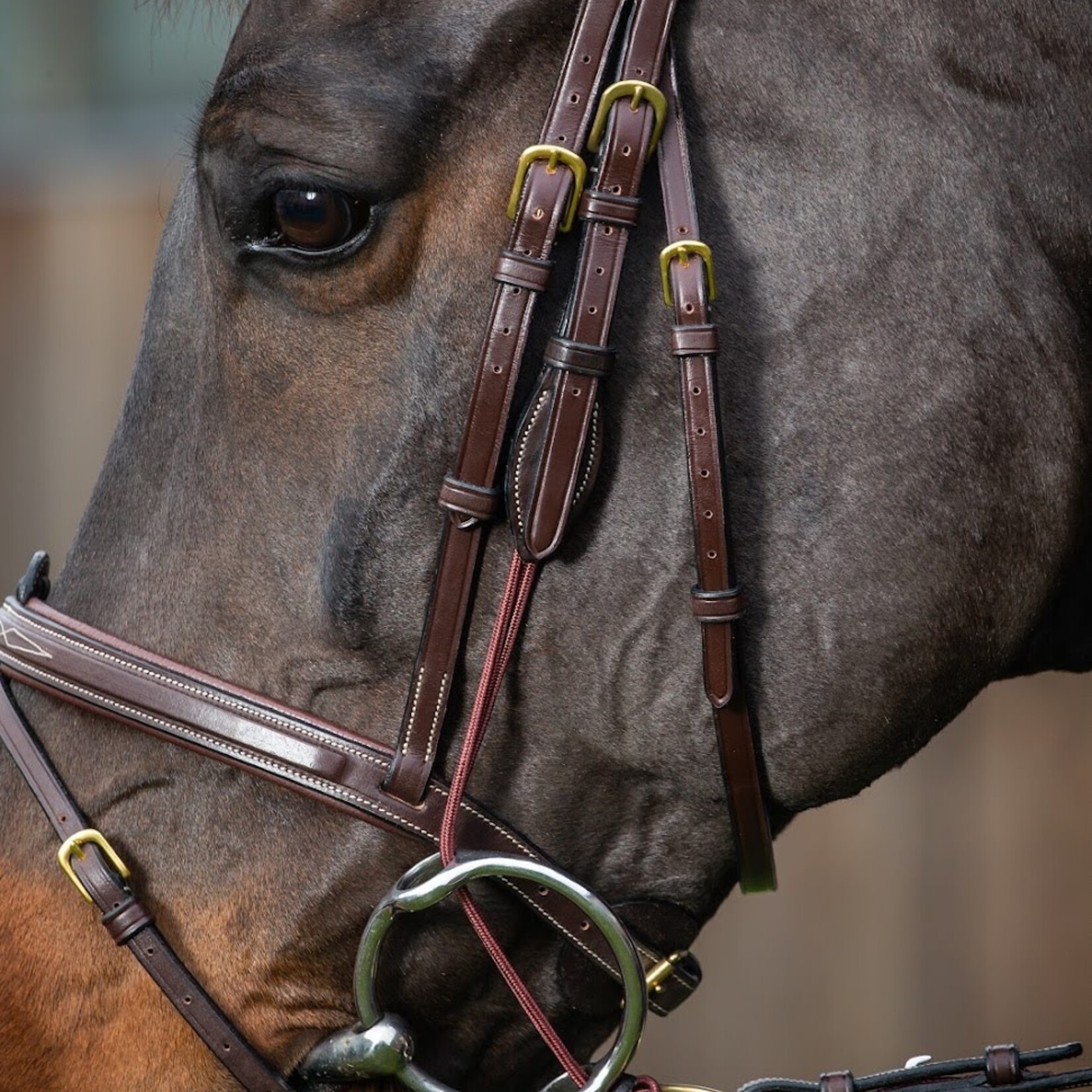 Dy'on DY03B Dy’on Gag Cheek Pieces With Removable Rings, Nylon cheek pieces for gag bit (pair), English leather - Rope 8mm, Cream stitching, Brass buckles and rings