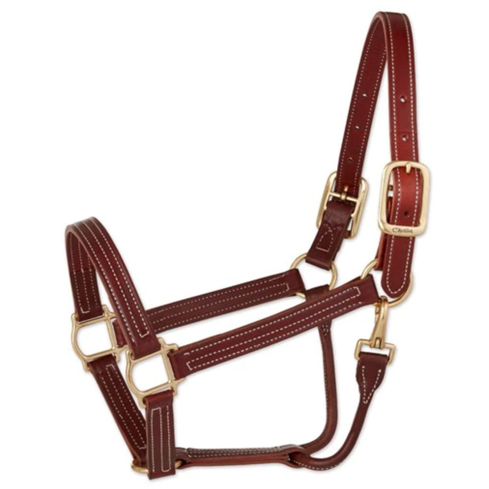 Walsh Company Walsh British Halter