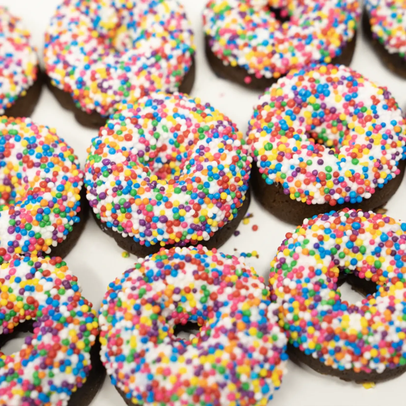 Shop The Posh Pony Shop the Posh Pony Mini Donuts Horse Treats