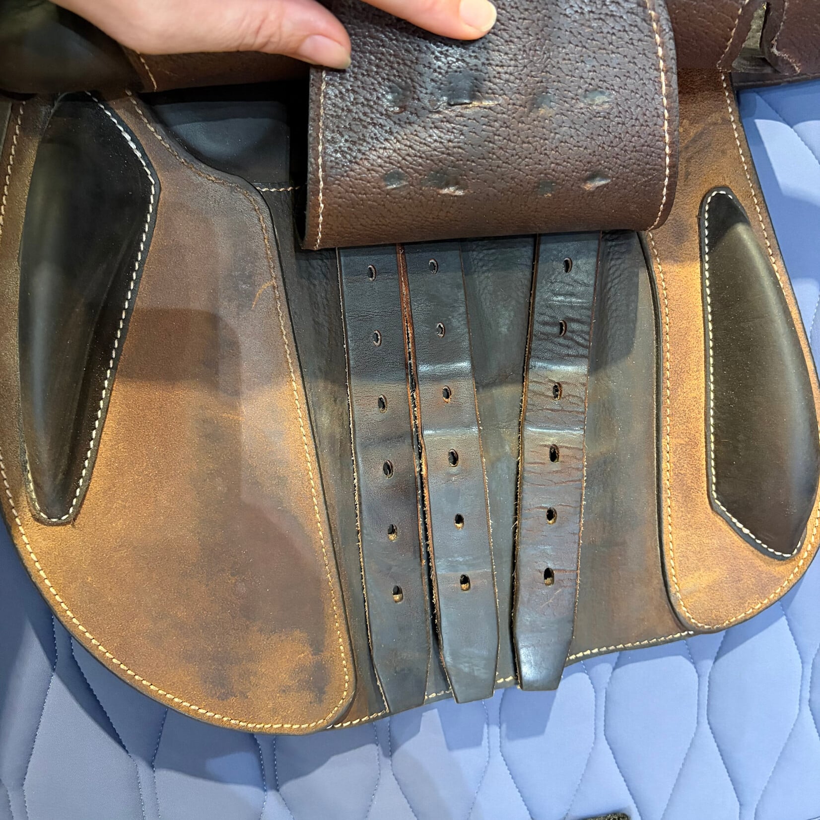antares #25 2102 Consigned Antares Extra Contact Jumping Saddle, Full Buffalo Leather, 16.5", 2NB Flap (Straighter), STD Tree, includes Antares Cover
