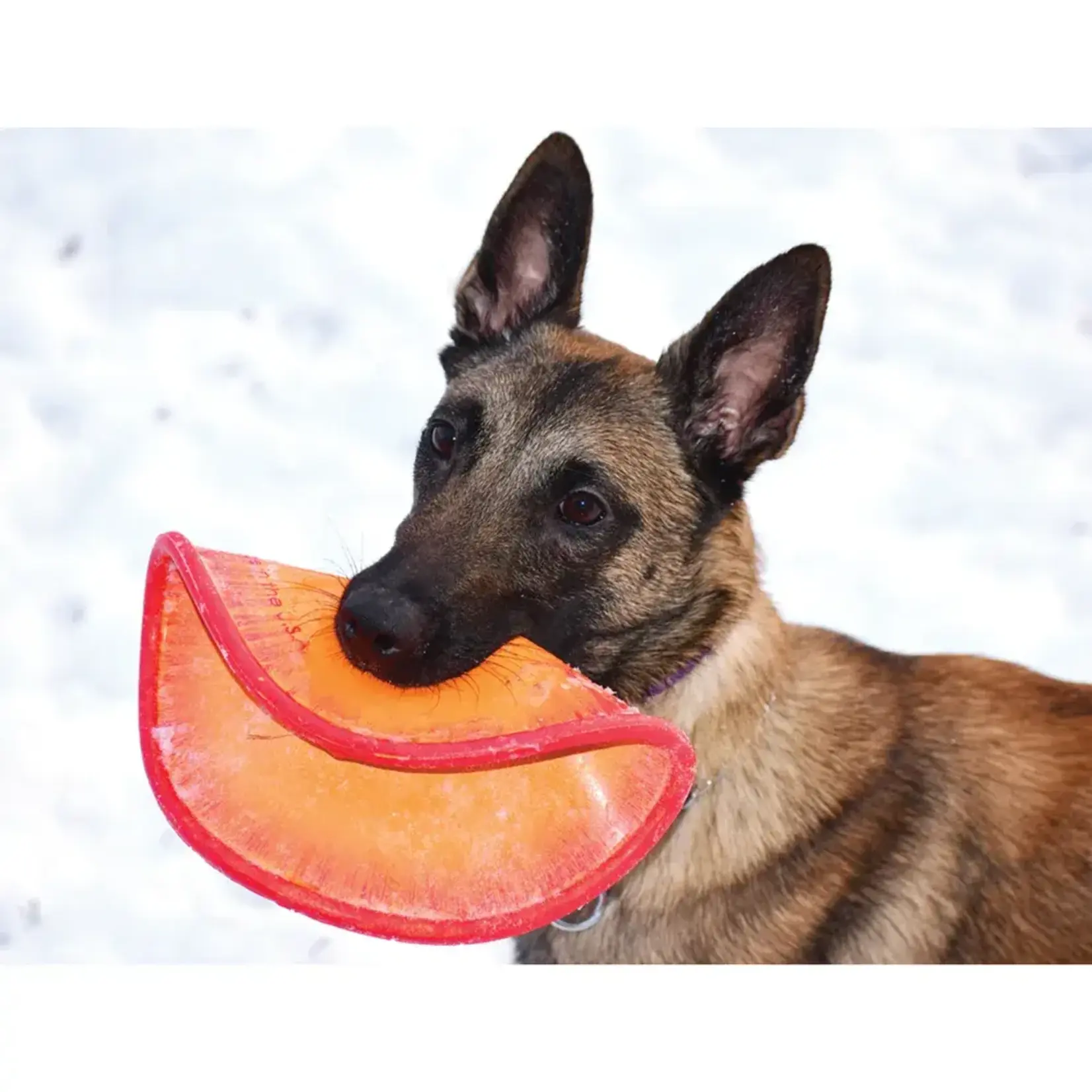RuffDawg K-9 Flyer Dog Toy 9.5" LG