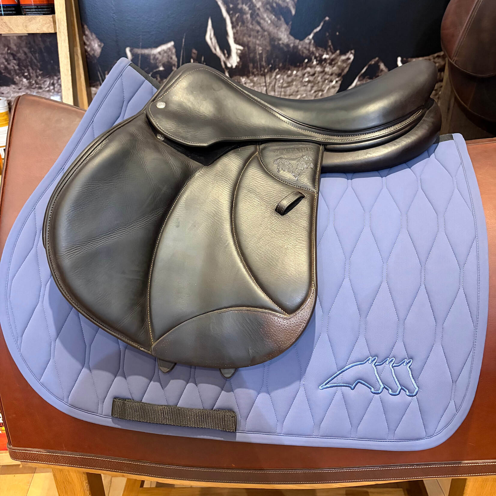 Voltaire #3395 22 Consigned Voltaire Jumping Palm Beach, 17.5”, 2AA flap, Pro Panels, Medium tree,  includes Voltaire cover