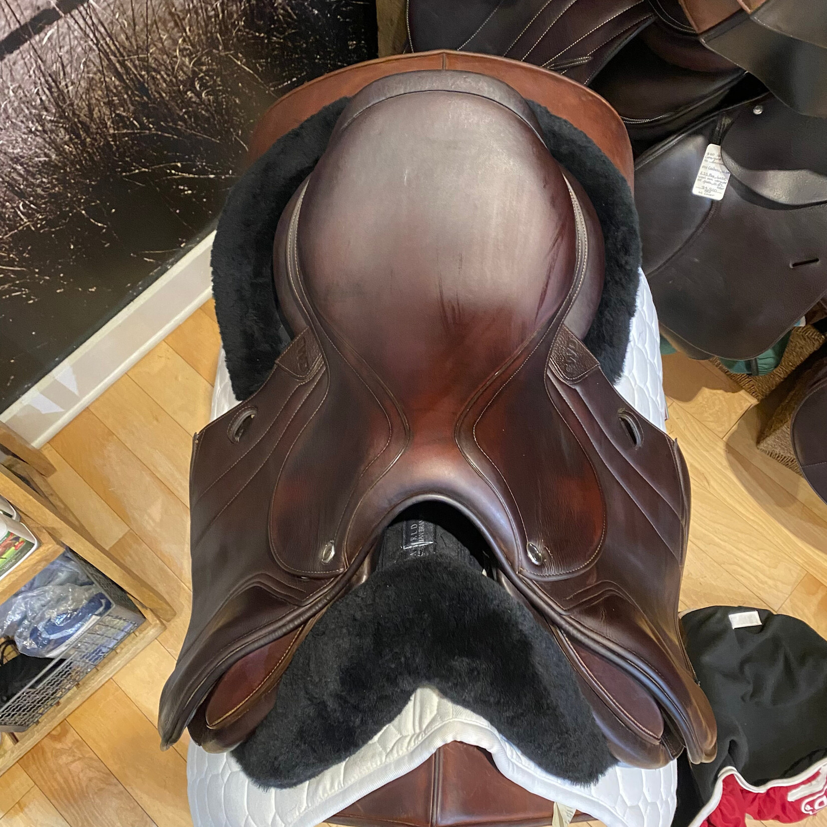 CWD #20 81349 Consigned CWD 2GS Hunter Mademoiselle Saddle Dynamick injected carbon-Kevlar tree 17.5", 2CH Flap, PA & RT Panels, includes CWD cover