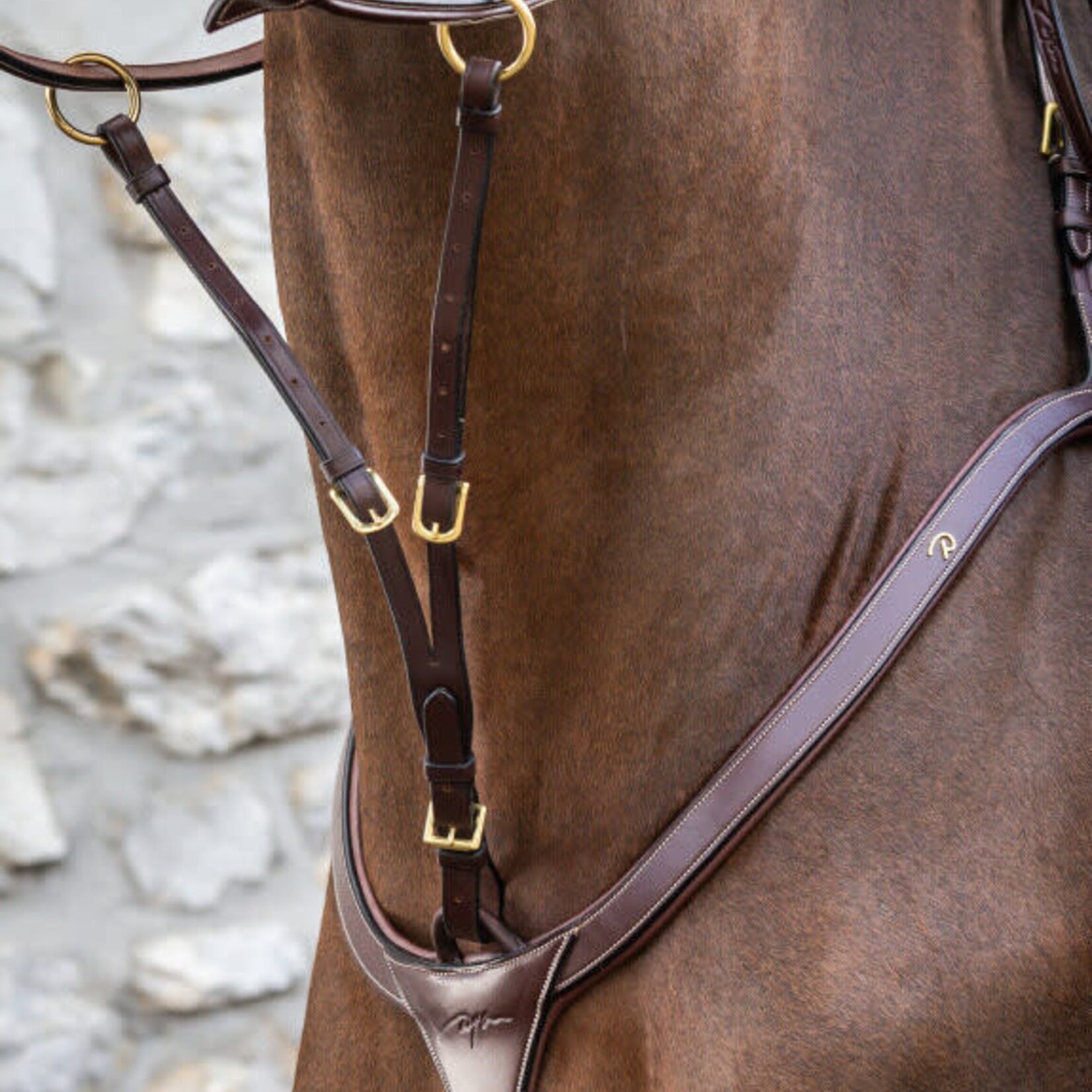Dy'on US07A Dy’On Hunter Collection Running Martingale Attachment w/ Silver Hardware
