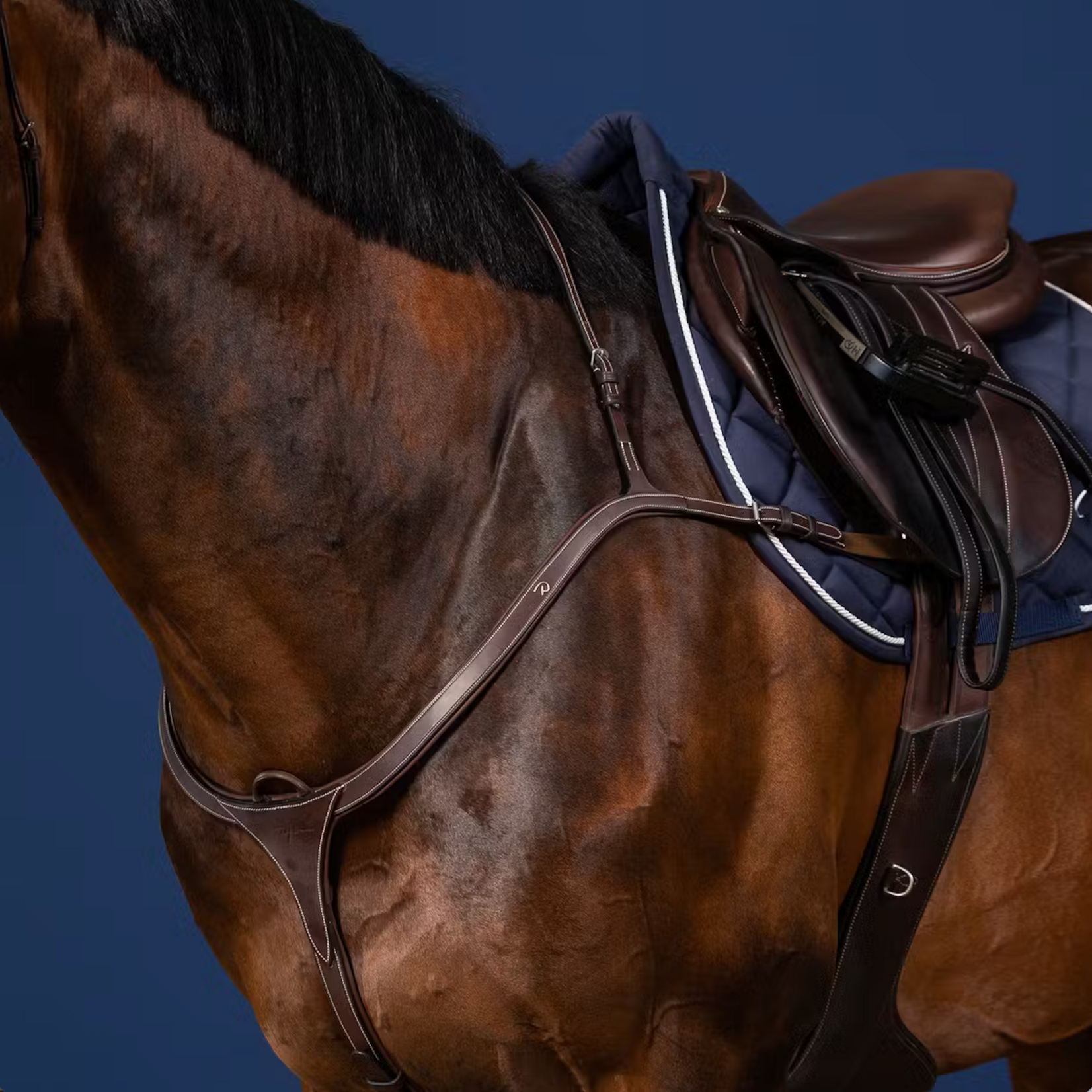 Dy'on US06C Dy’on Breastplate, Long adjustable bridge 3 points of attachment Curved for completely unrestricted shoulder movements 6 cm long elastic bands for comfort