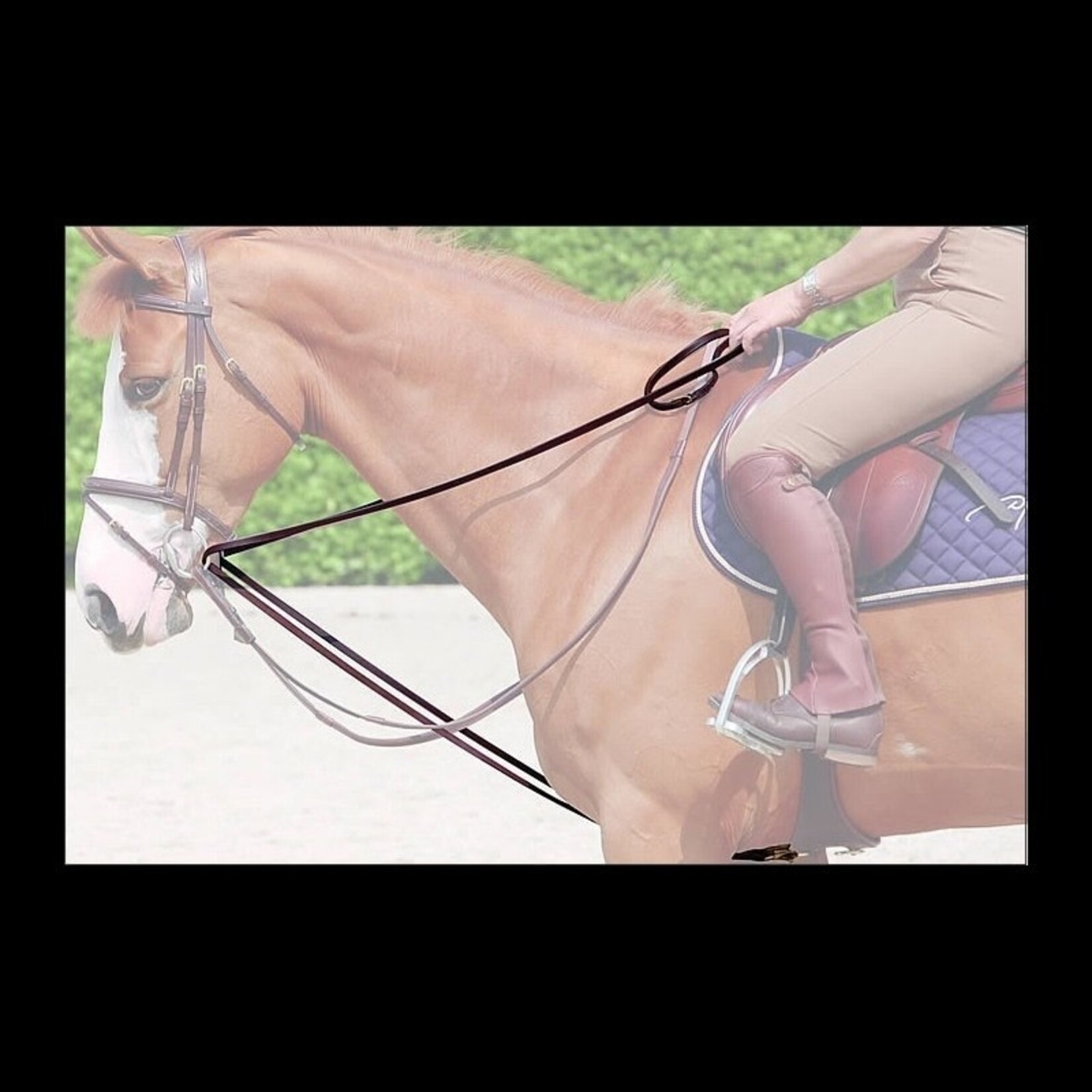 Dy'on WO08A Dy’on Working Collection Draw Reins 1/2” with Buffalo Leather and Removable Girth Loop and Steel Buckles