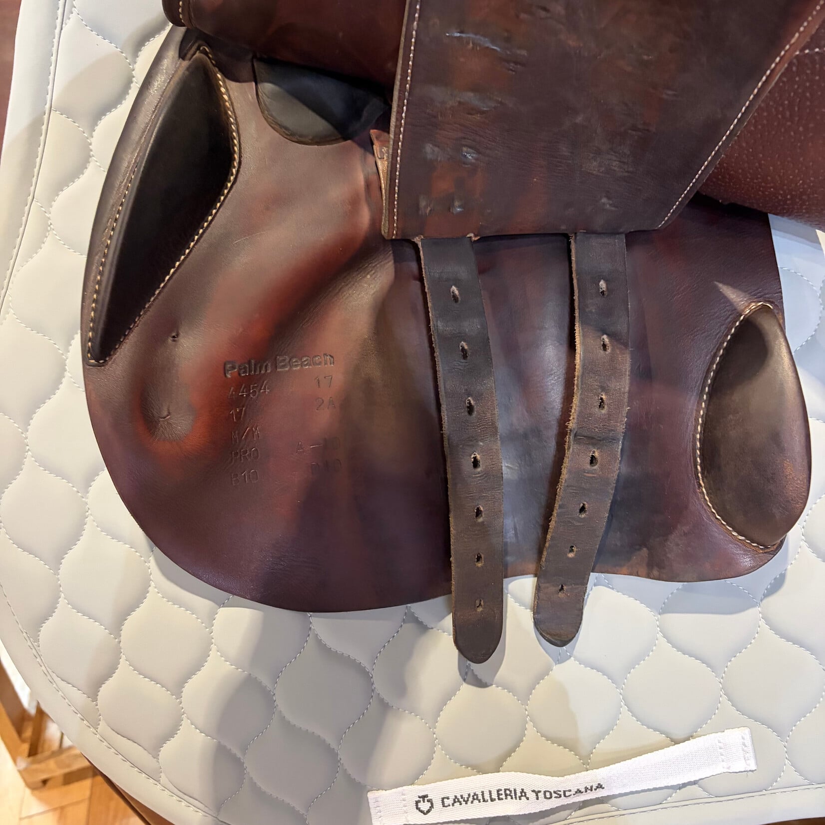 #4454 17 Consigned Voltaire Jumping Palm Beach, 17”, 2A flap, Medium tree, Pro Panel w reinforced bottom flap edge, includes Voltaire cover