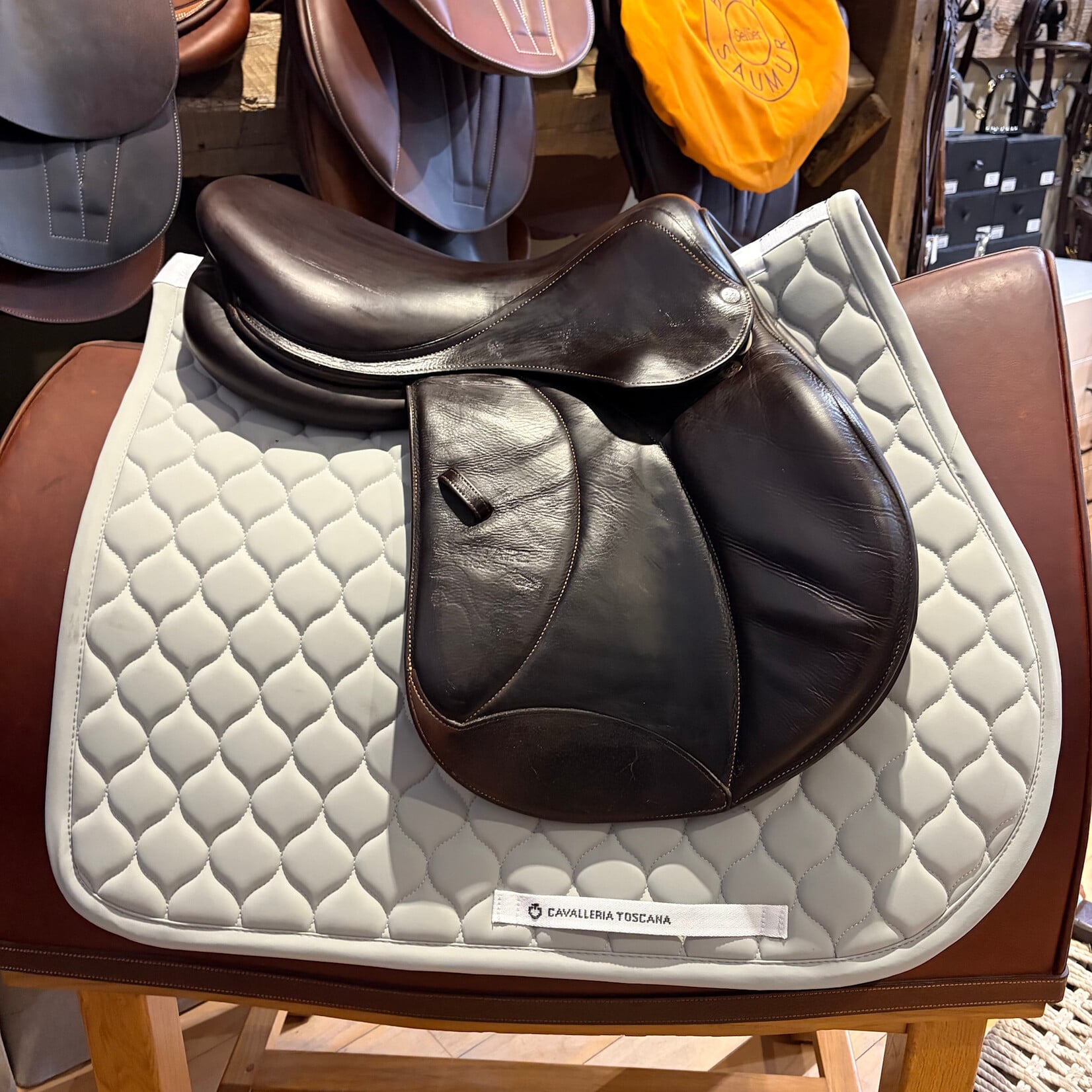 #4454 17 Consigned Voltaire Jumping Palm Beach, 17”, 2A flap, Medium tree, Pro Panel w reinforced bottom flap edge, includes Voltaire cover